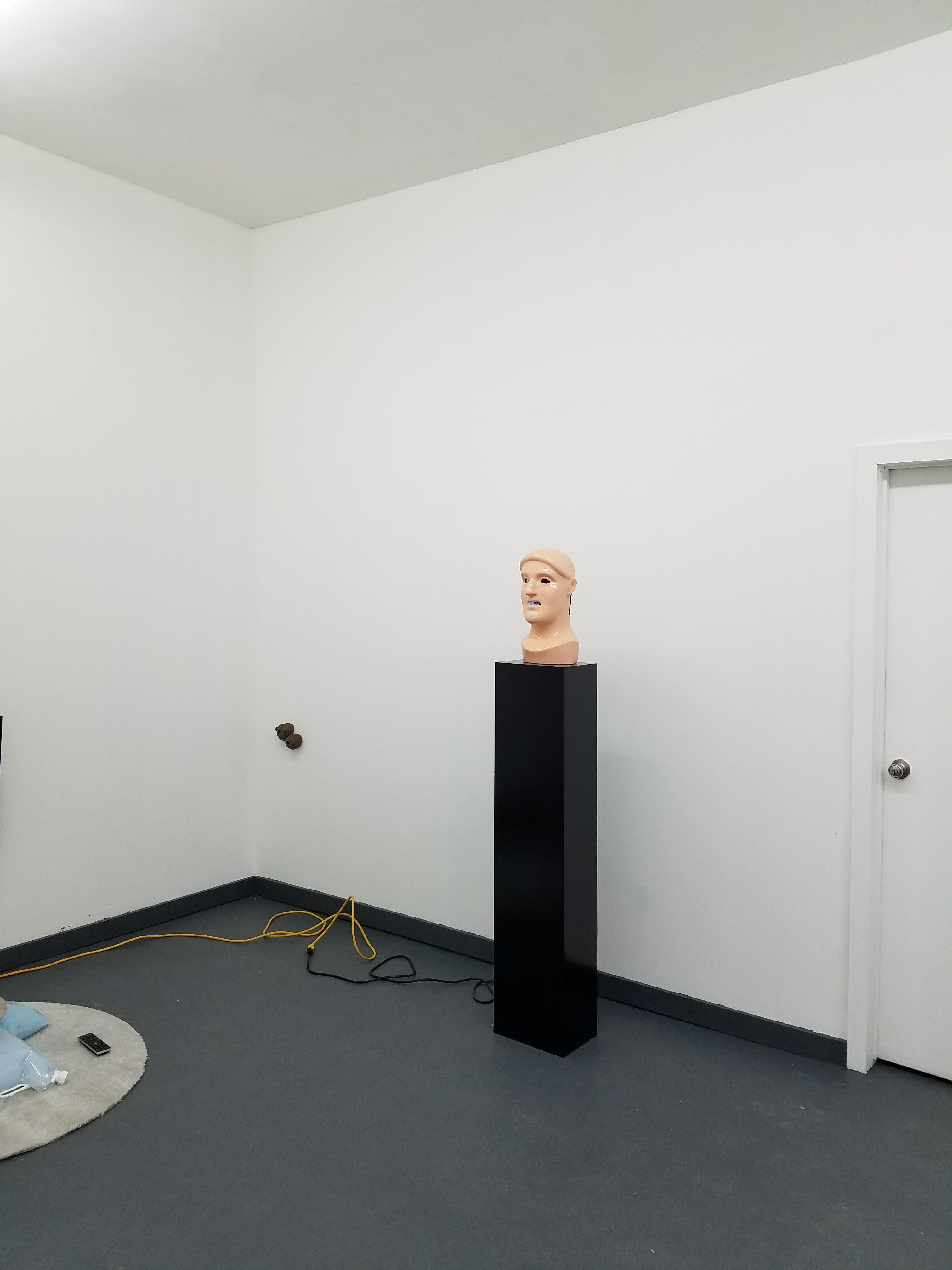 The Sputtering, Human-Shaped Machine, The Sputtering, Human-Shaped Machine at Good Work Gallery, photo 2