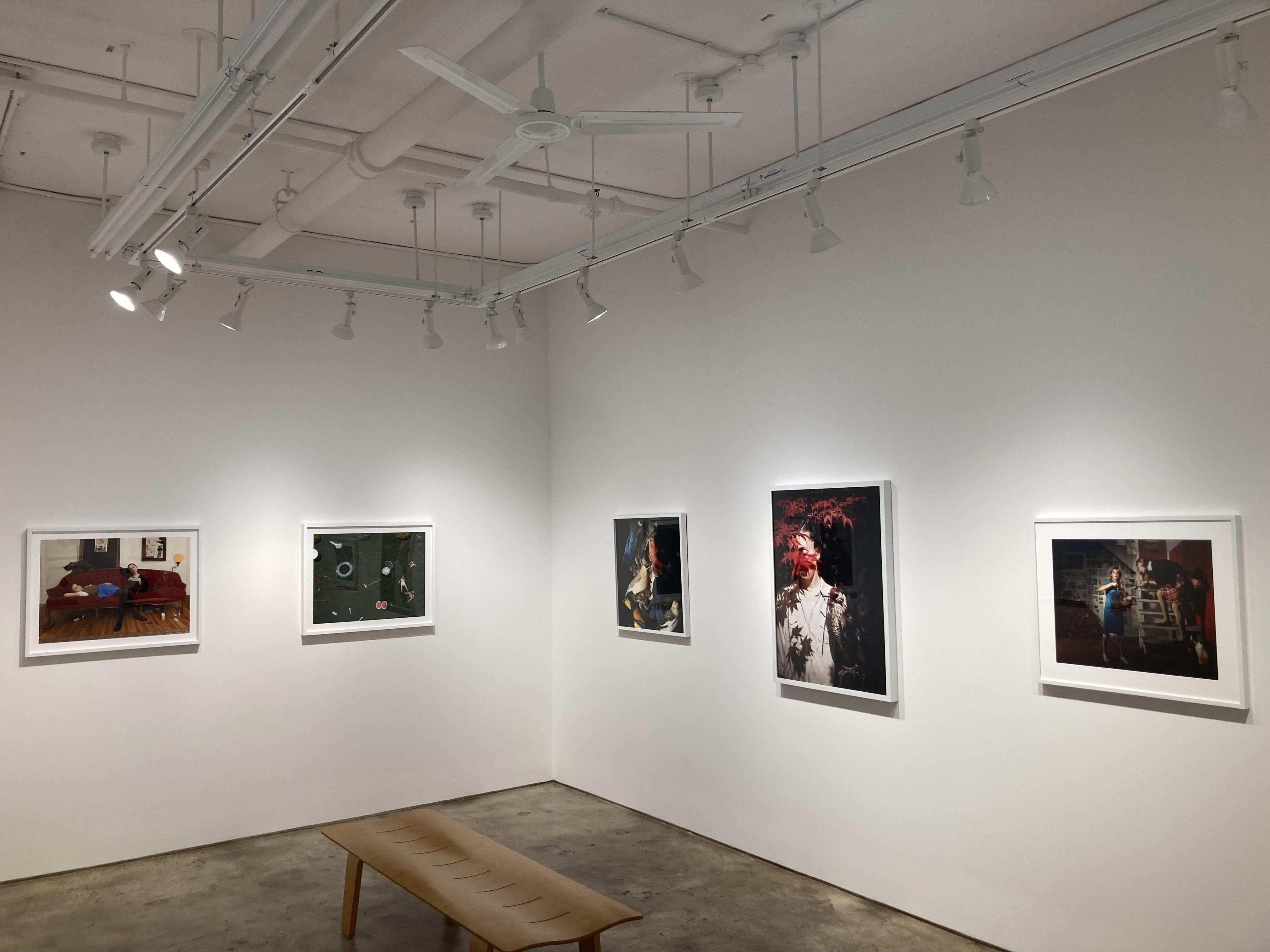 How She Sees: Redux, How She Sees: Redux at Robert Mann Gallery, photo 3