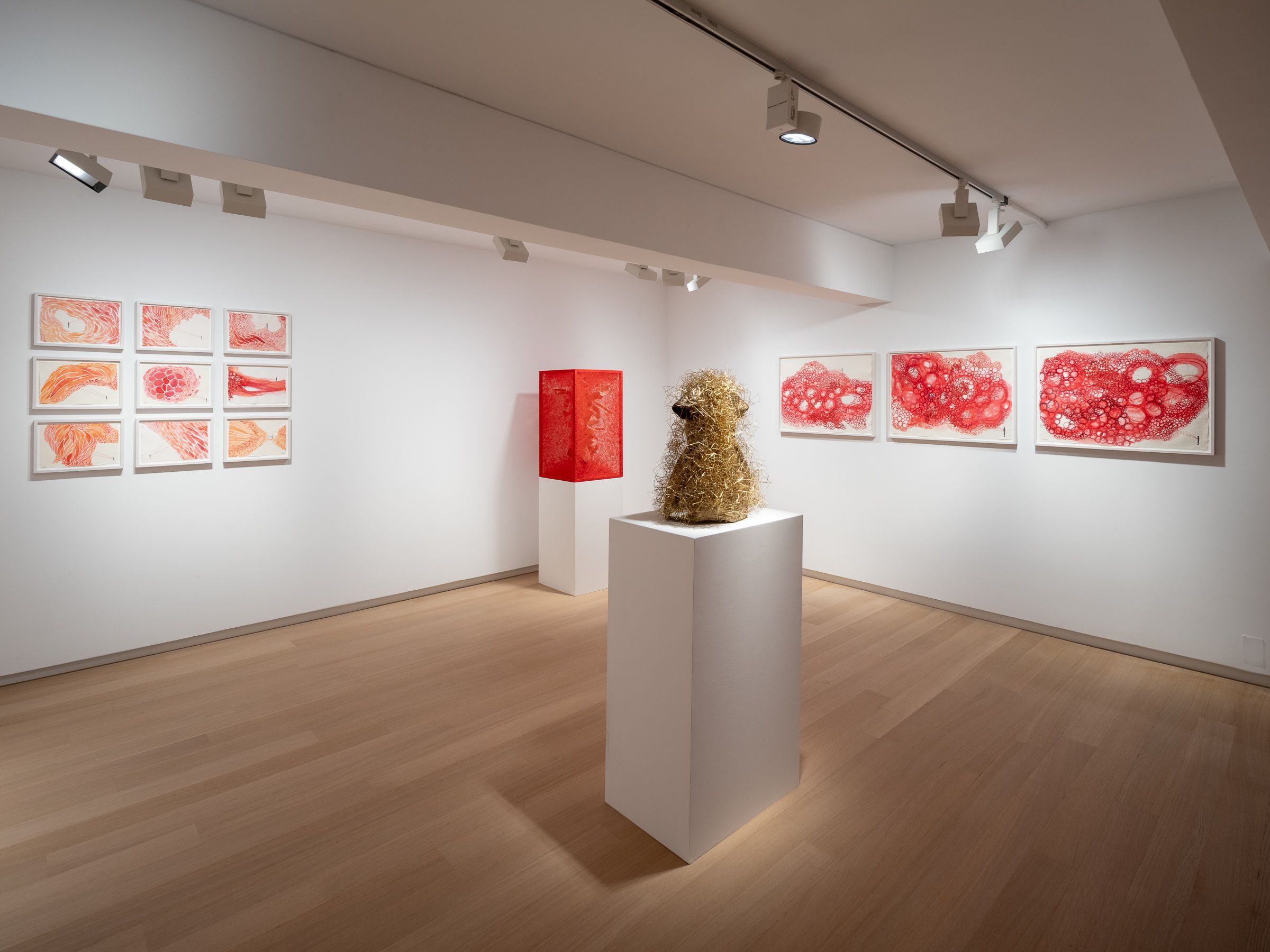 Chiharu Shiota, Signs of Life at Templon, photo 9