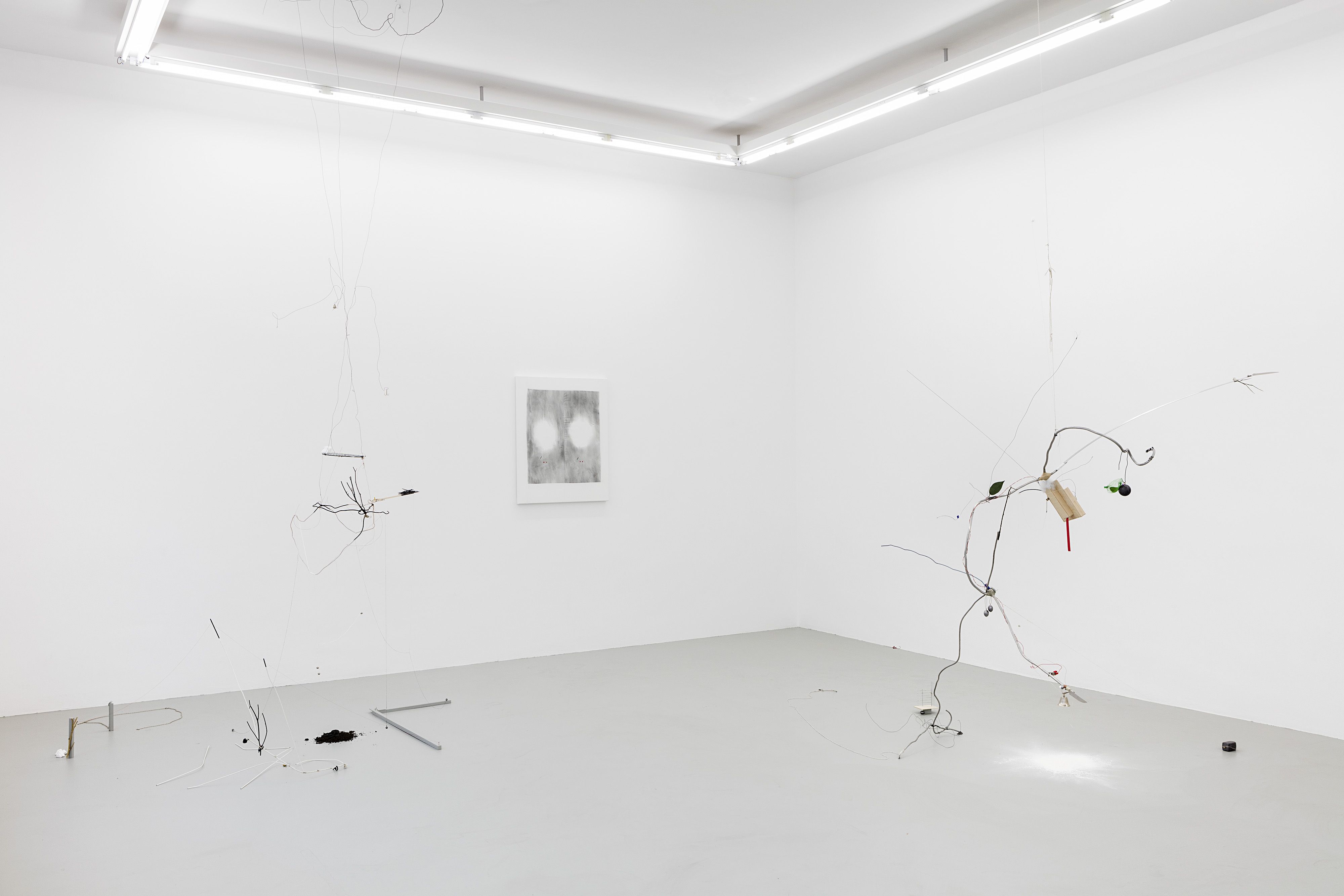 Bryan Morello, Palisade, Picket at Neumeister Bar-Am, photo 2