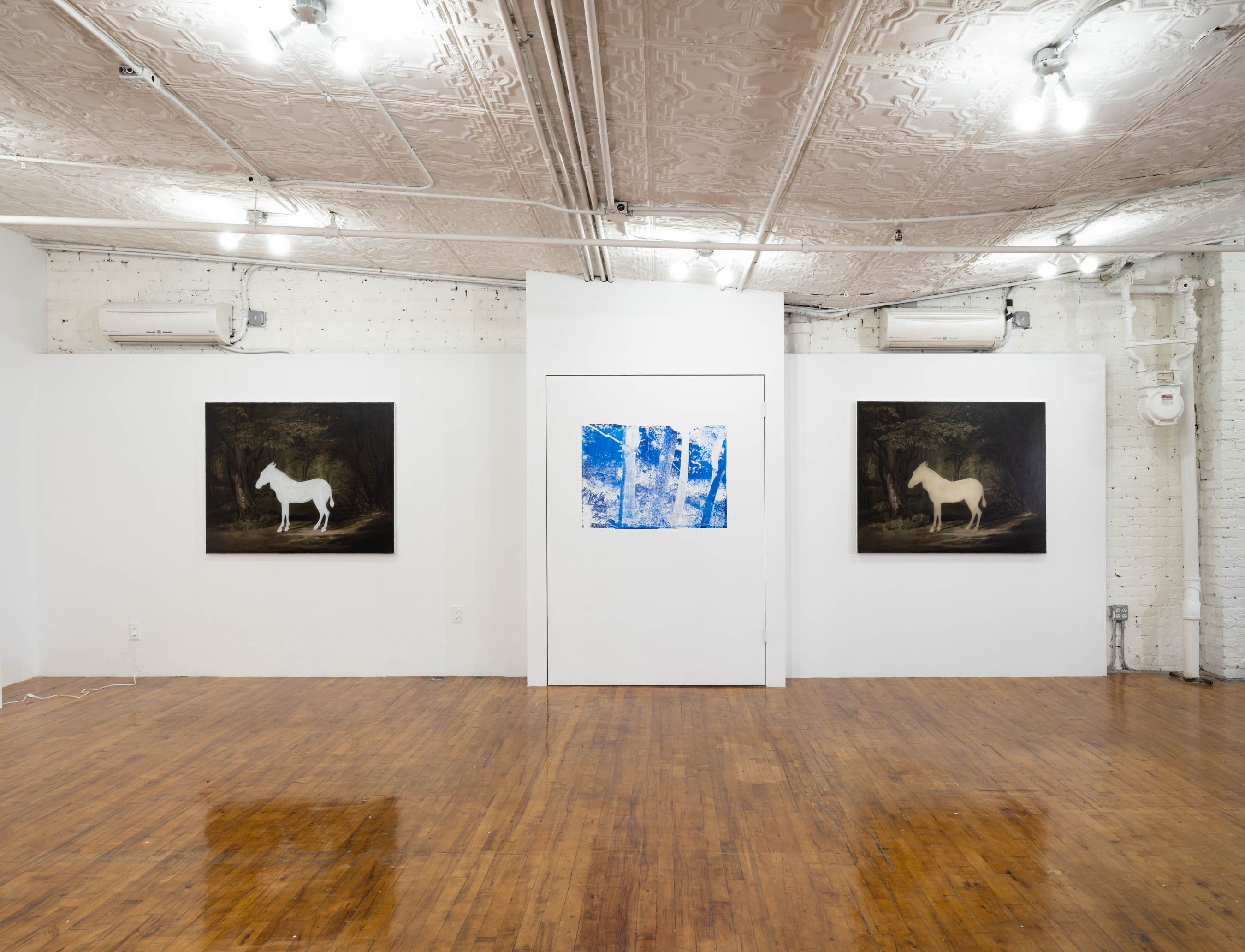 Installation view 5