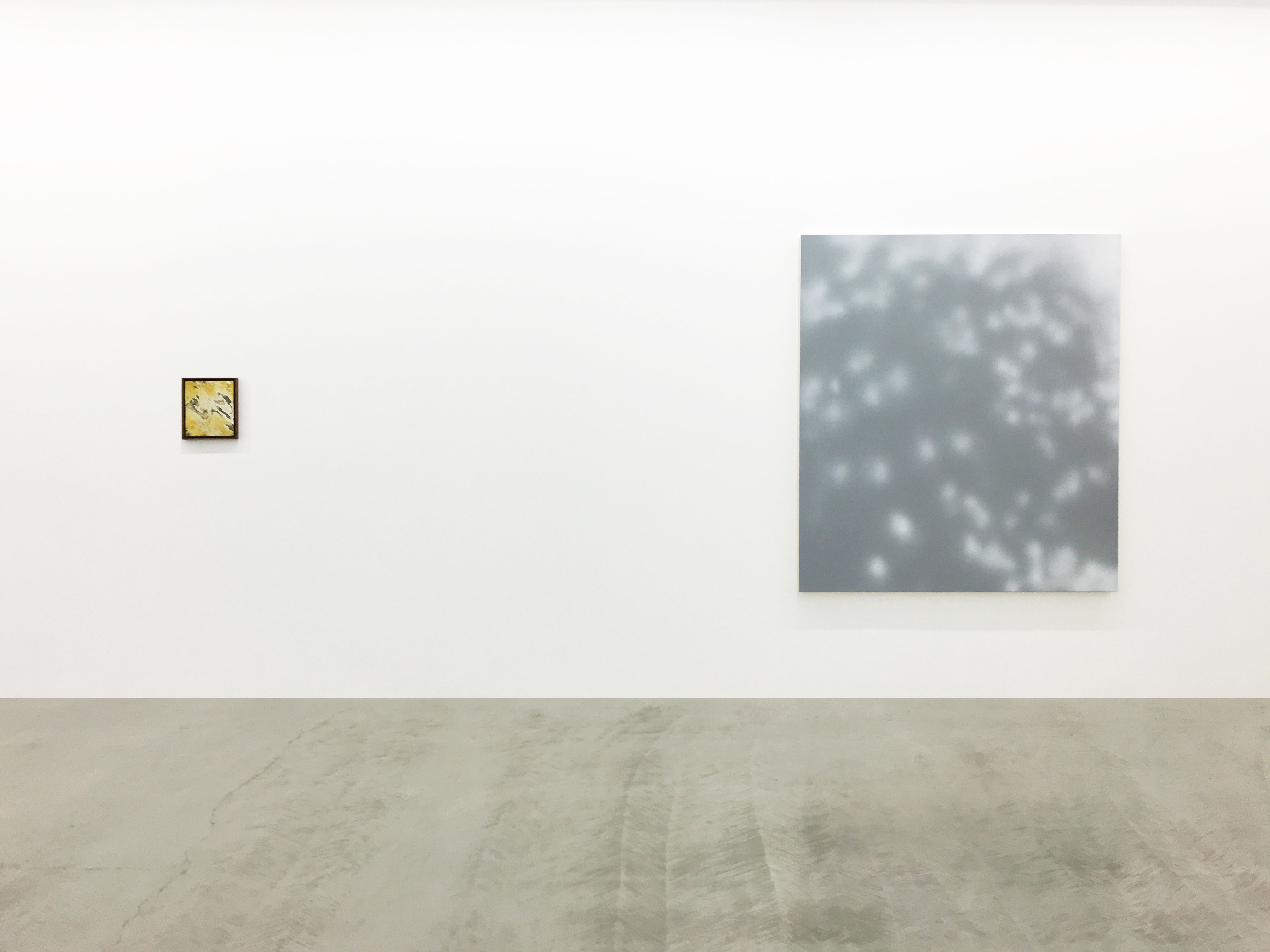 James Case-Leal, Grow Light at Parrasch Heijnen, photo 3
