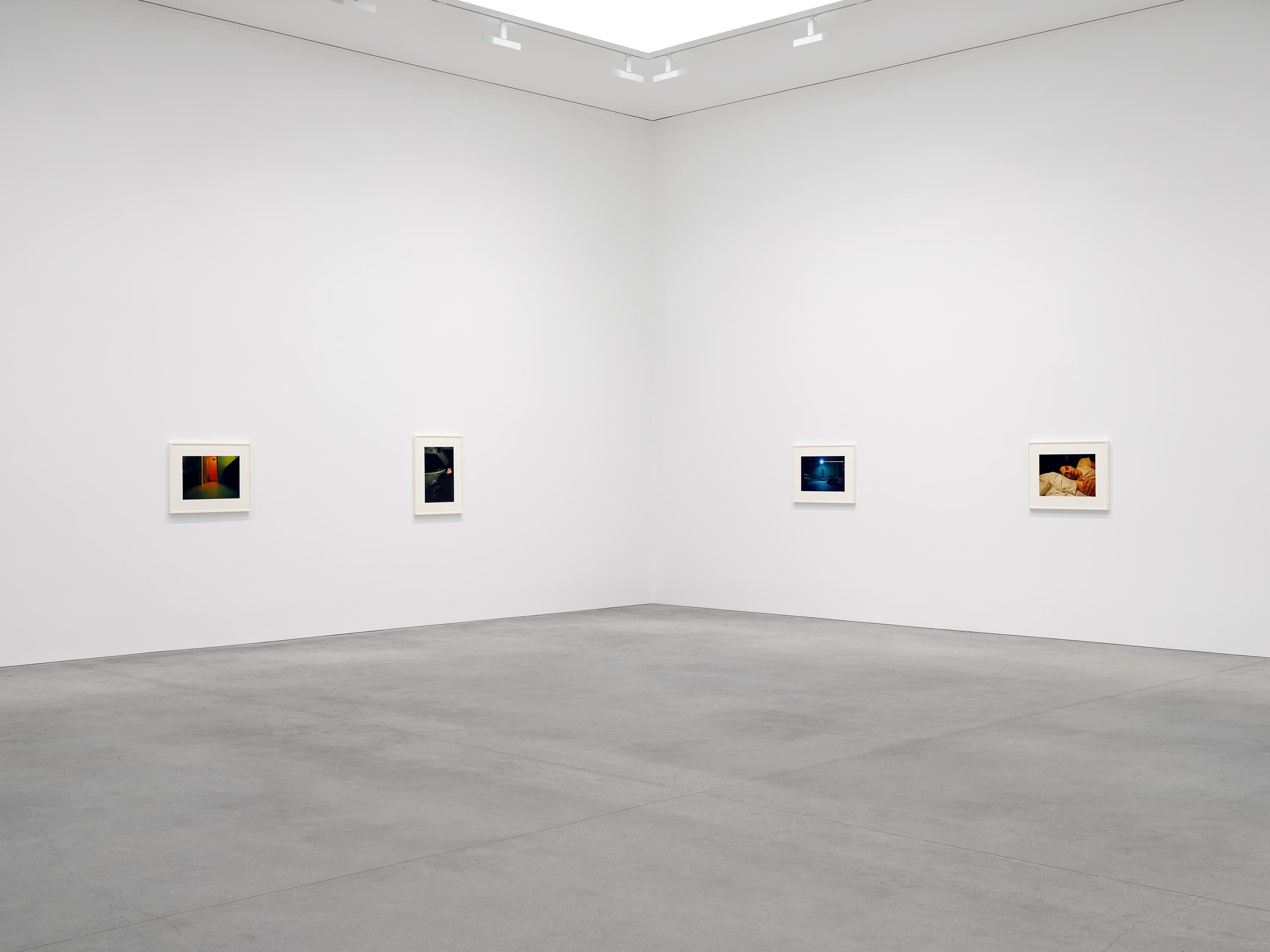 William Eggleston, The Last Dyes at David Zwirner, photo 2