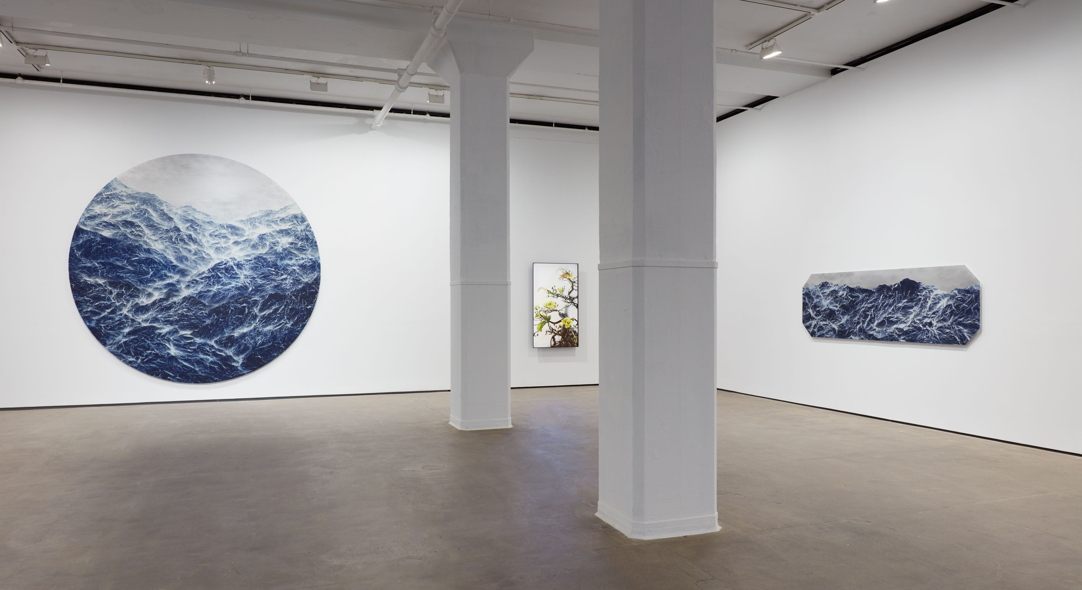 Installation view 3