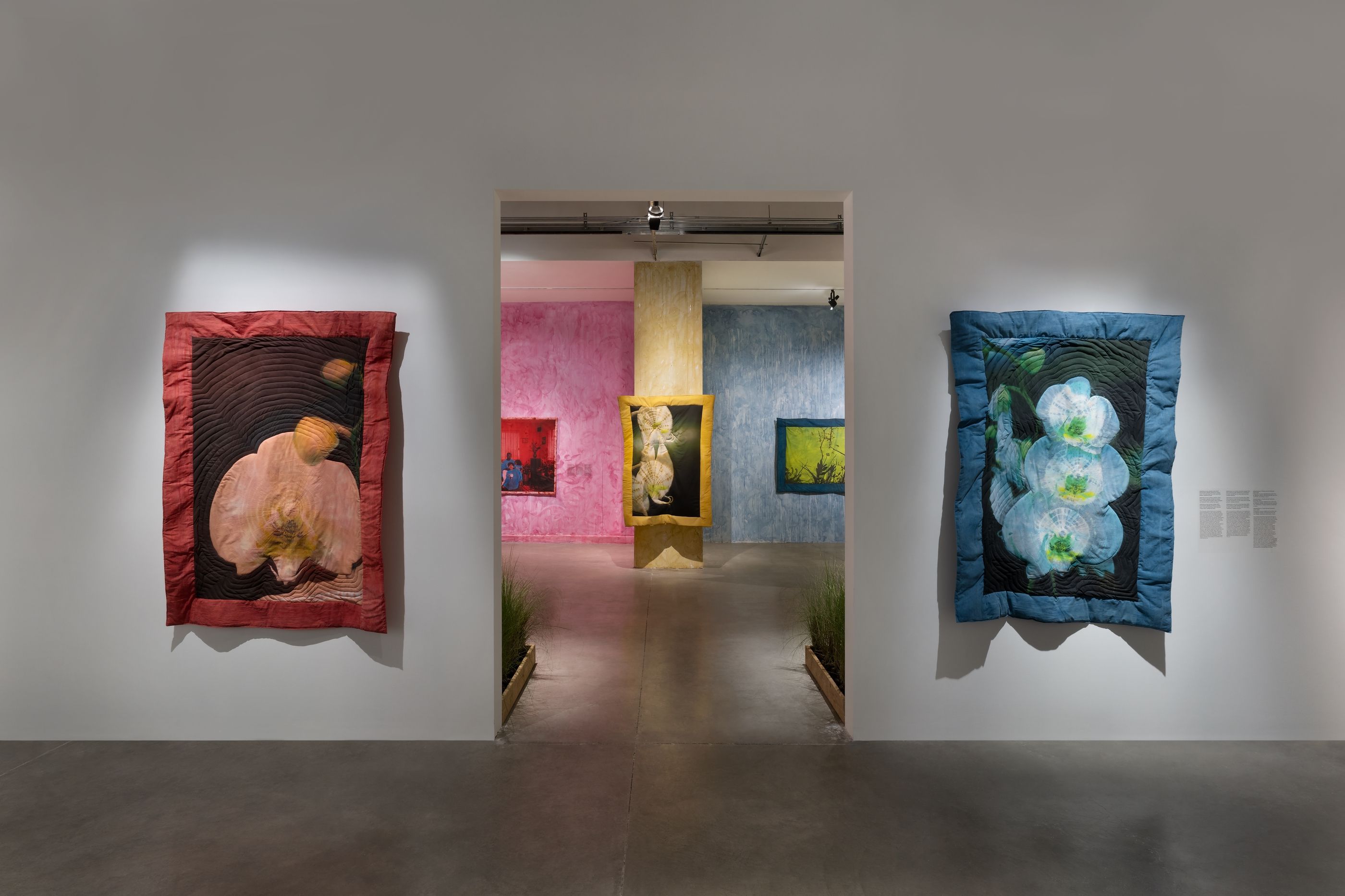 Diana Eusebio, Field of Dreams at MOCA North Miami, photo 4