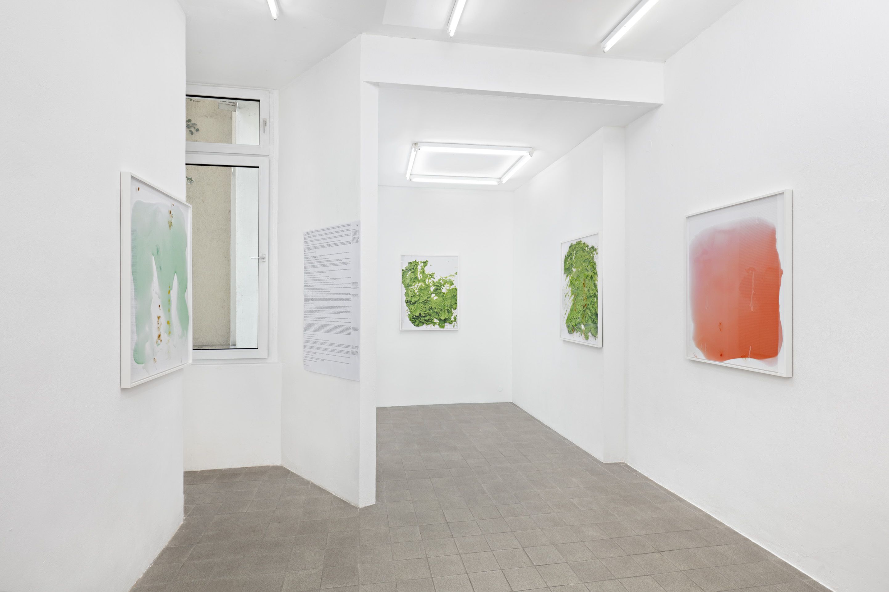 Lisa Holzer, image 3 of 3