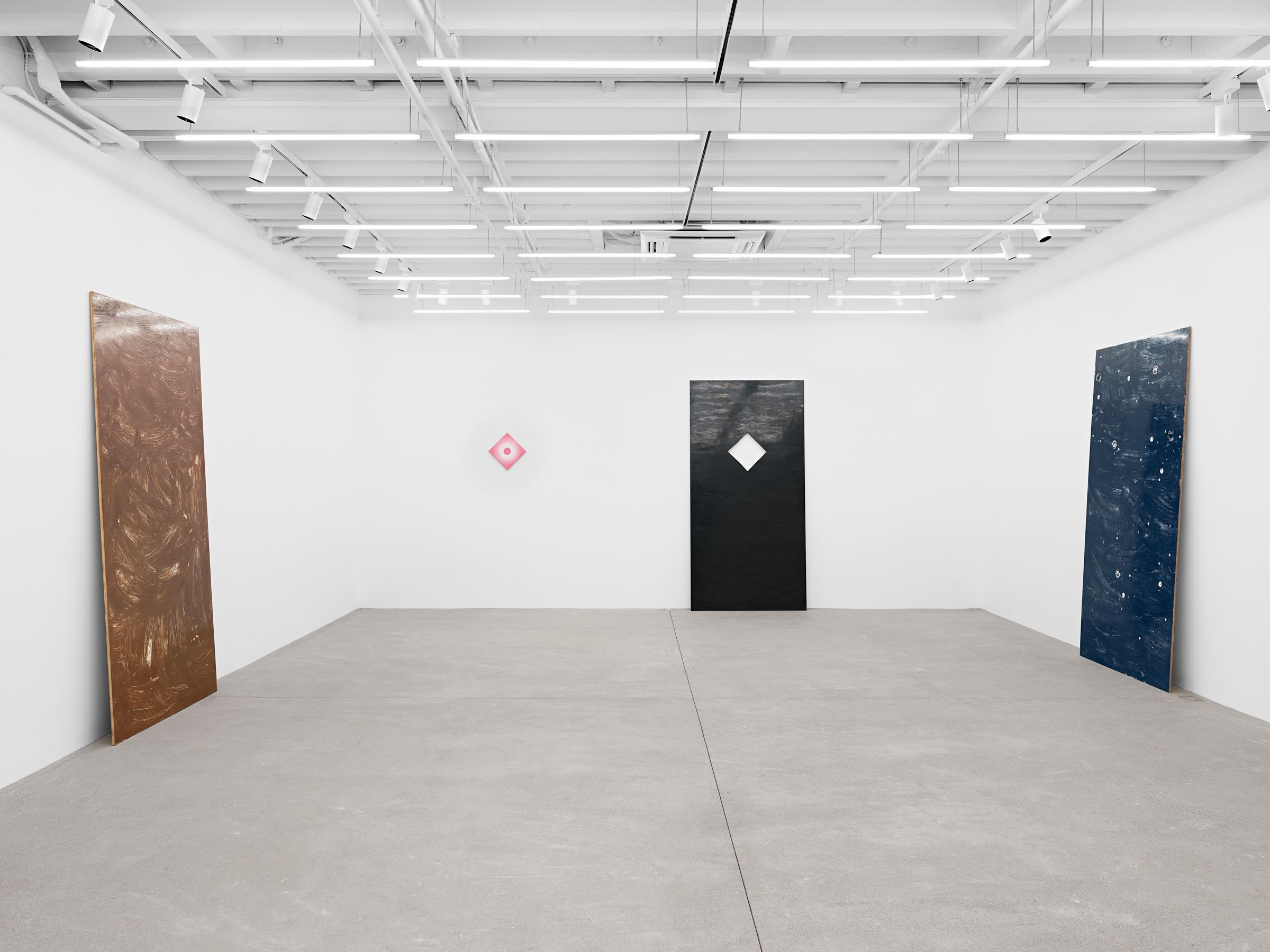 Alex Kwartler, Eclipse at Magenta Plains, photo 2