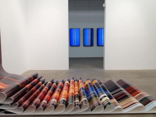 Dinh Q. Lê, Warf, Woof, Zero, One at P.P.O.W, photo 7