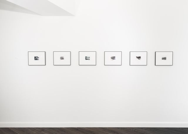 Vicky Colombet, Earth at Christian Duvernois Gallery, photo 3