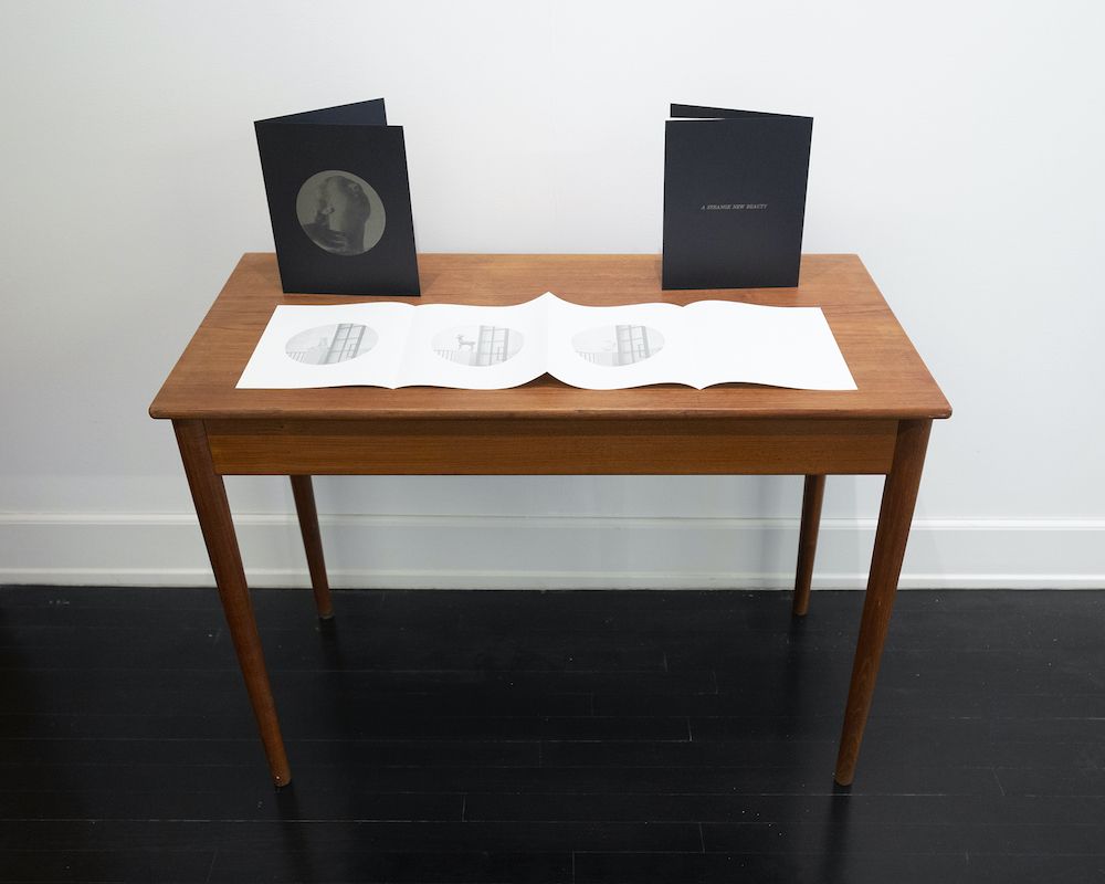 Troy Brauntuch, A Strange New Beauty at Petzel, photo 7
