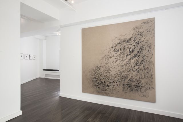 Vicky Colombet, Earth at Christian Duvernois Gallery, photo 2