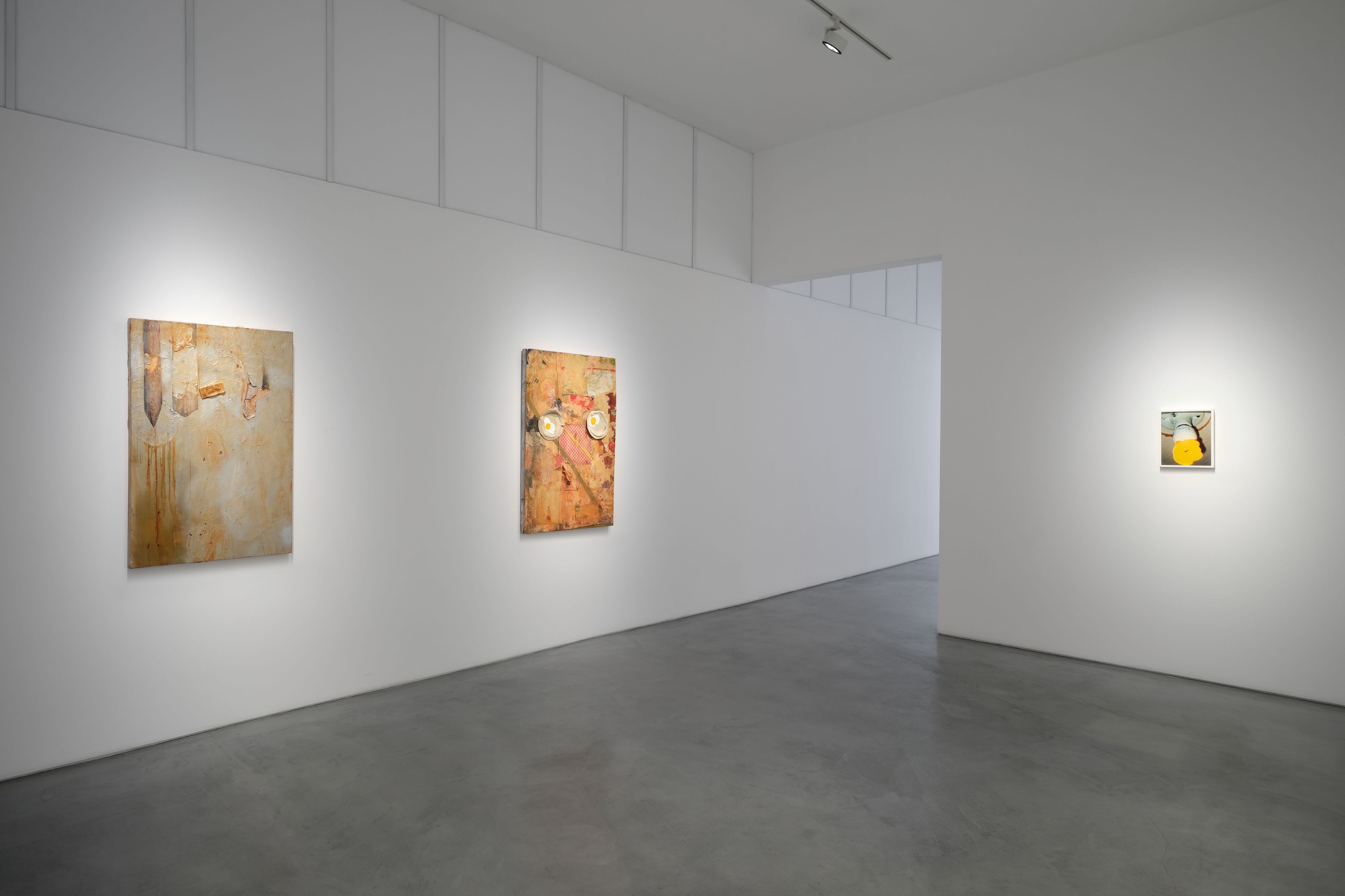 Brenna Youngblood, R.A..D…I..O. at Roberts Projects, photo 15