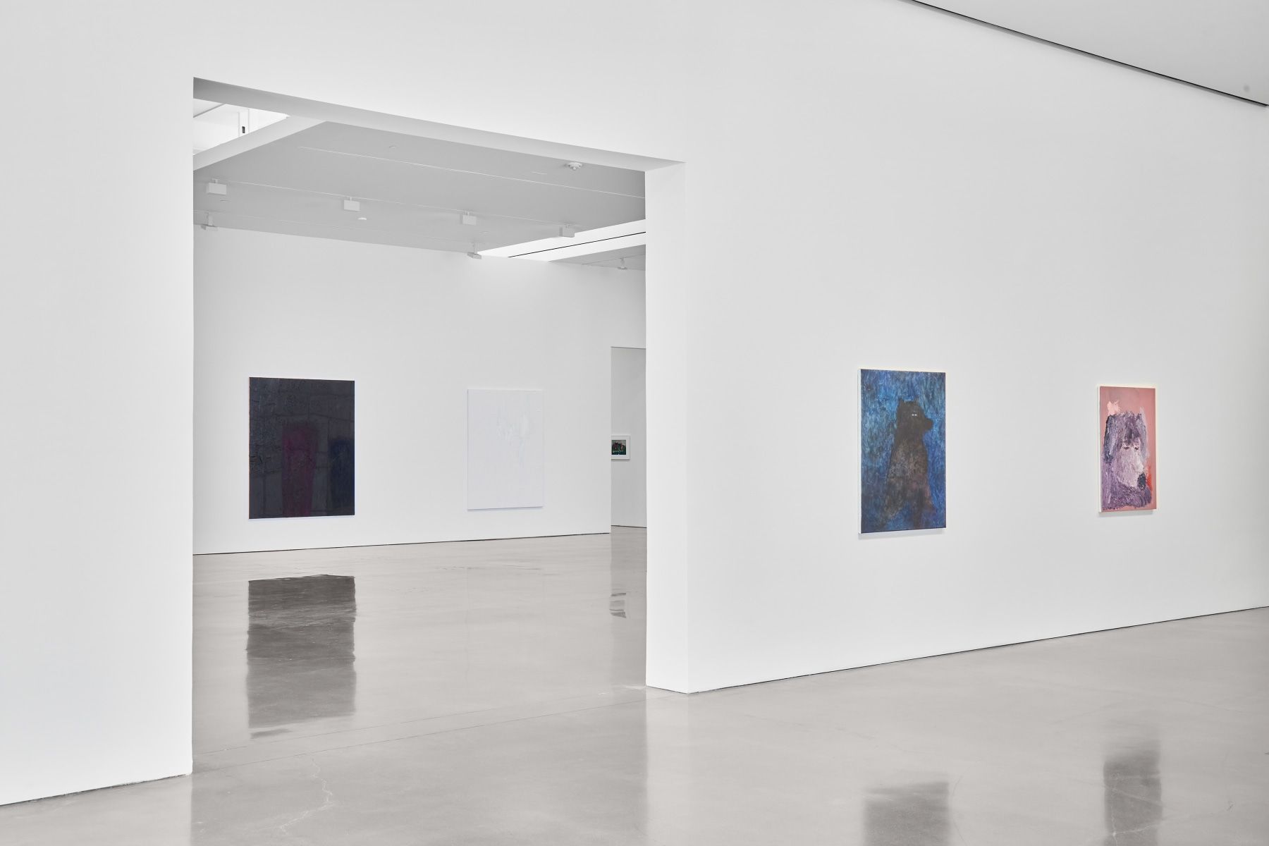 Sergej Jensen, The Adult Light at Regen Projects, photo 9