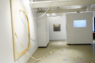 Snakeskin Lattice, Snakeskin Lattice at SVA CP Projects Space, photo 3