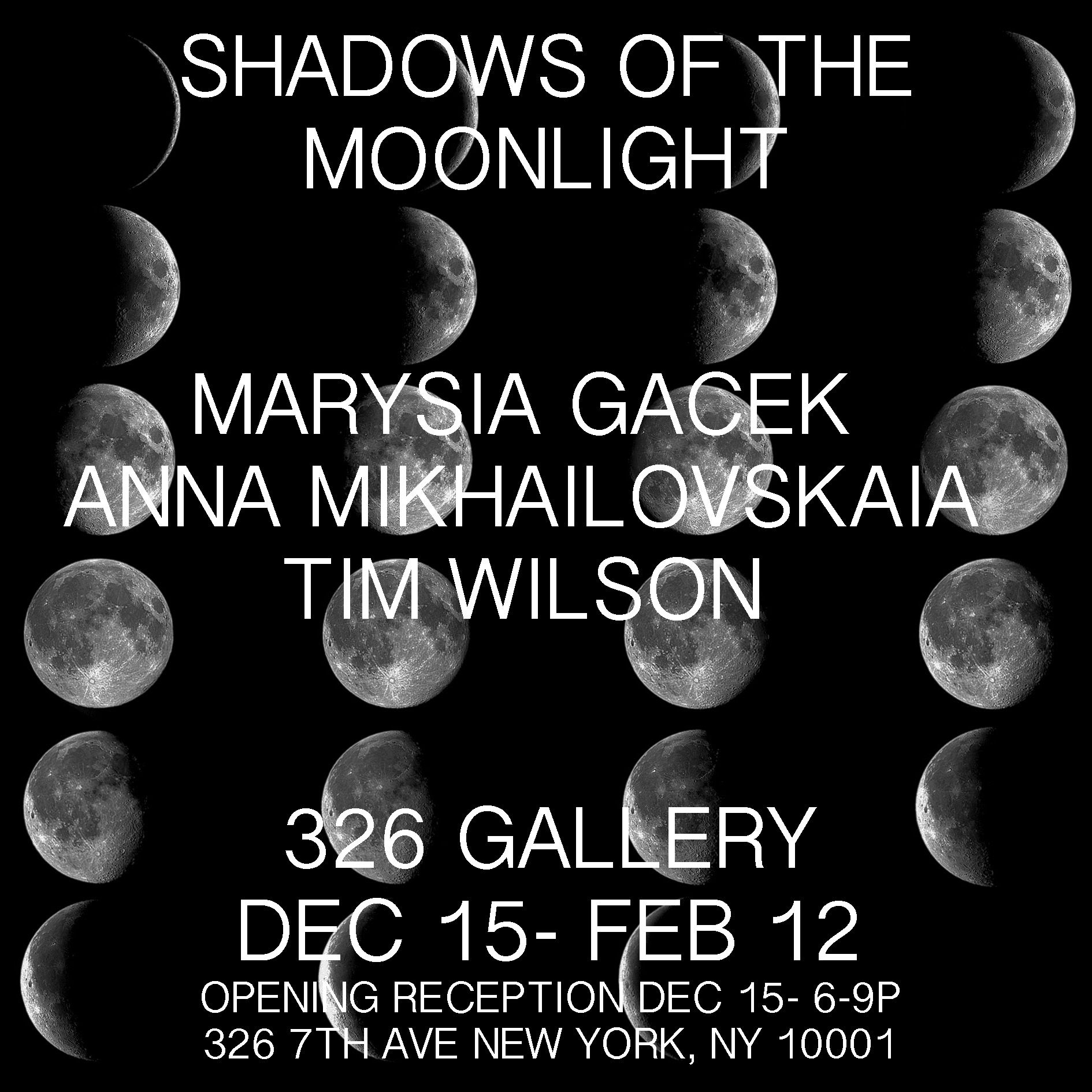 Shadows Of The Moonlight, Shadows Of The Moonlight at 326 Gallery, photo 4