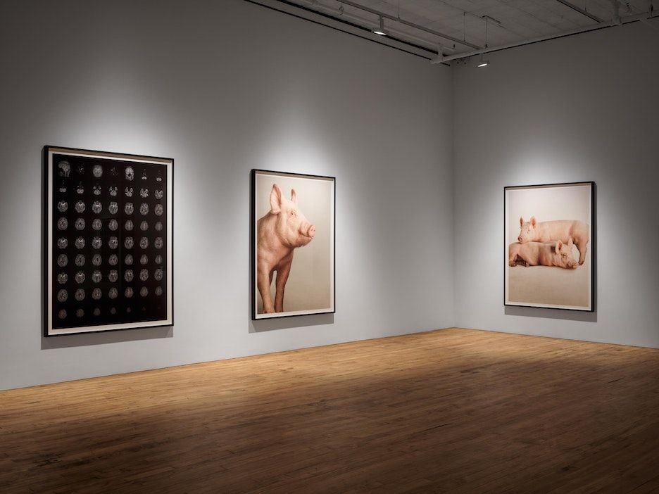 Heji Shin, The Big Nudes at 52 Walker, photo 10