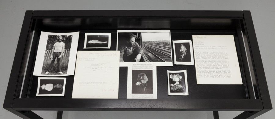 Hollis Frampton, Hollis Frampton at Room East, photo 8