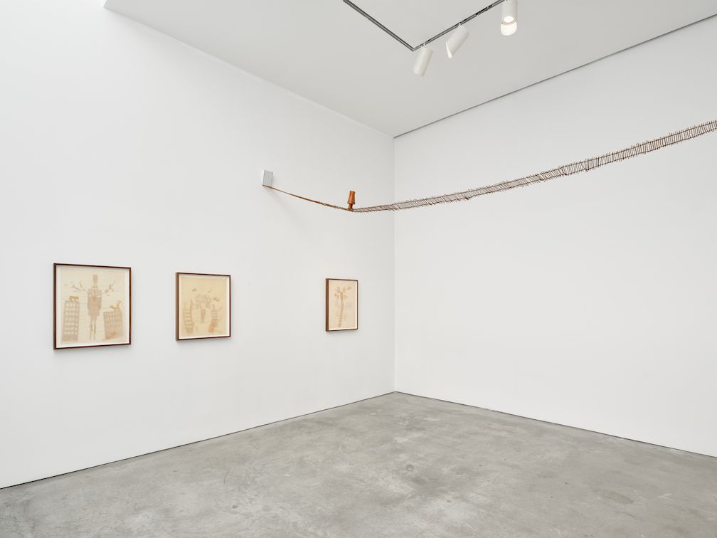 Laura Anderson Barbata, Singing Leaf at Marlborough, photo 13