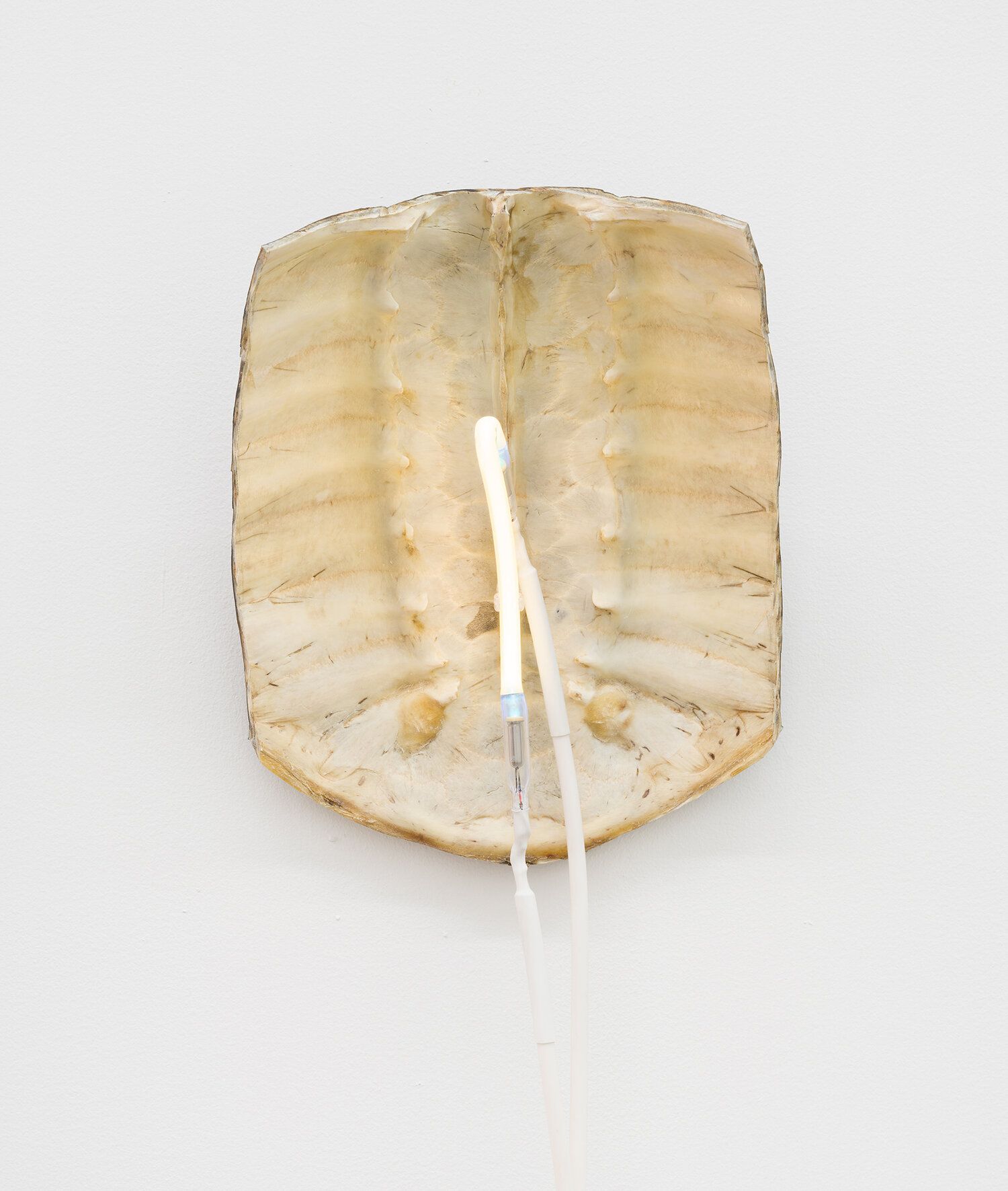 Sean Donovan, Recent Work at M 2 3, photo 17