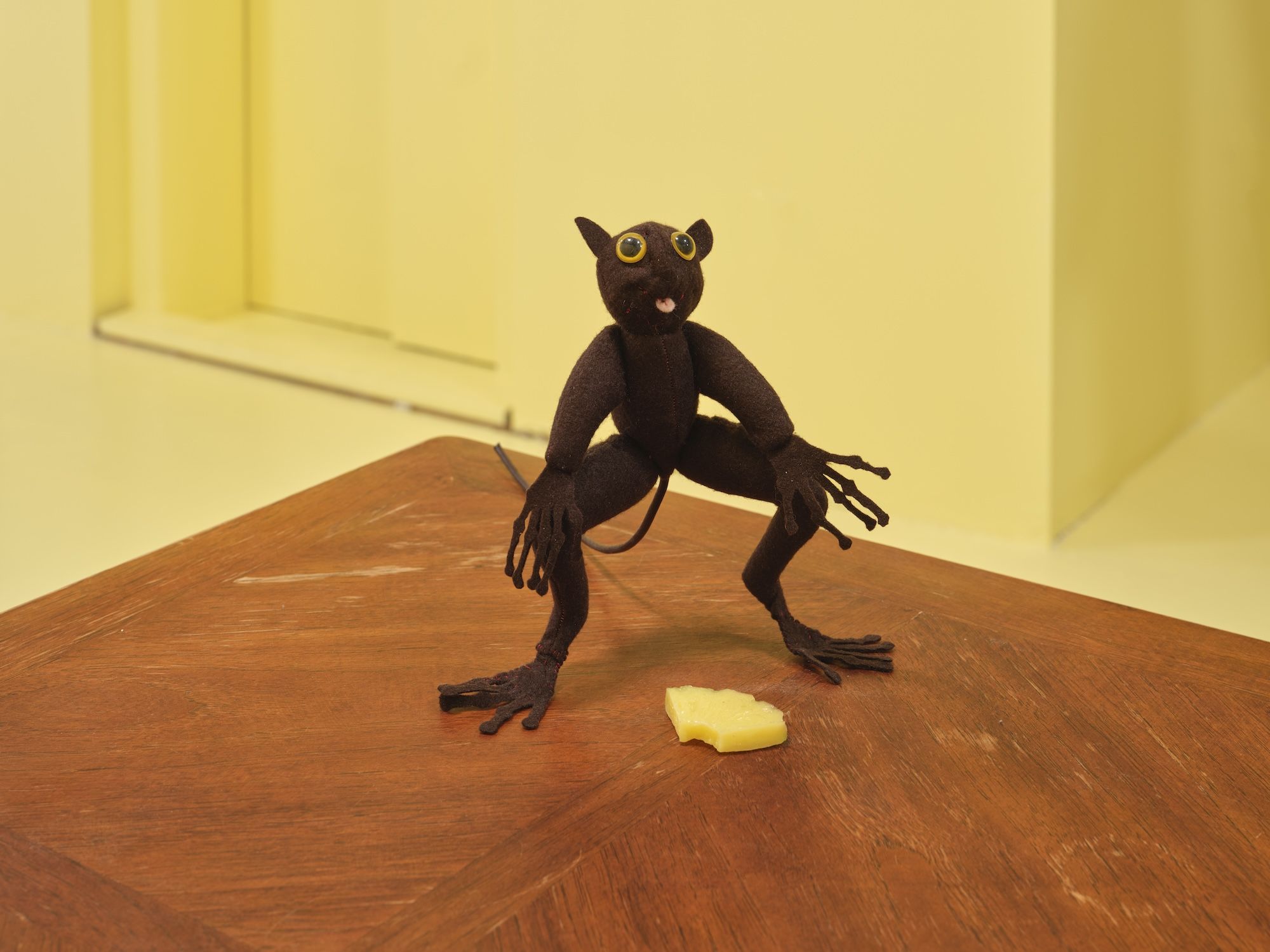 Keith Lafuente, image 7 of 7