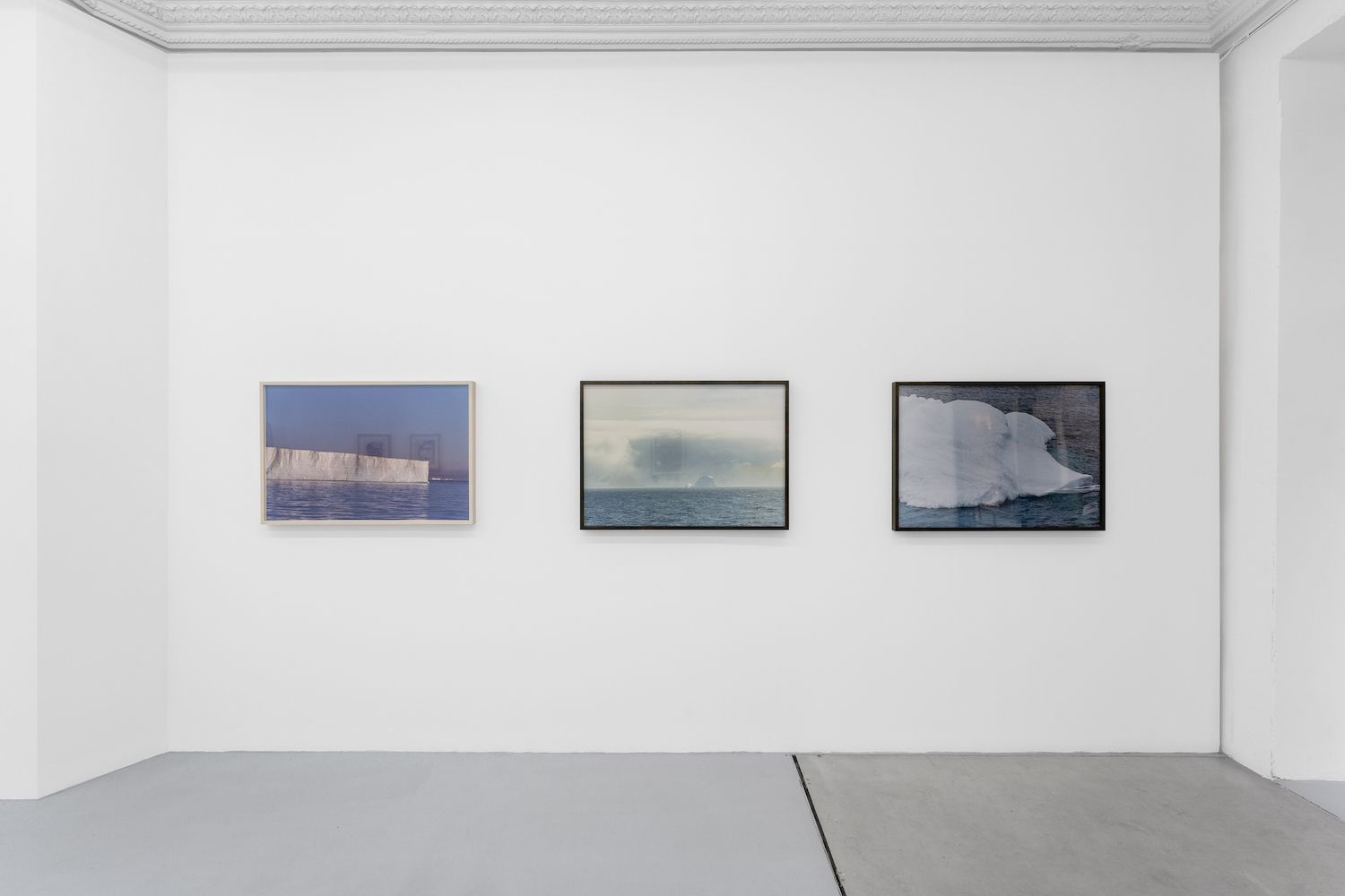 Dan Asher, Nature at Pact, photo 6