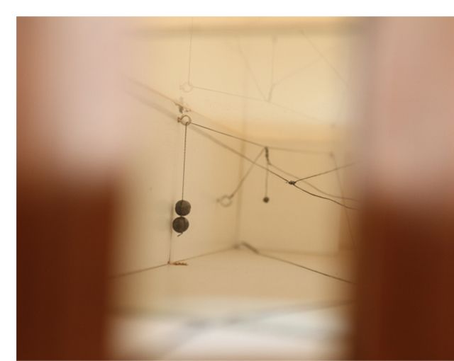 Teresa Henriques, Prospective at Rooster Gallery, photo 3