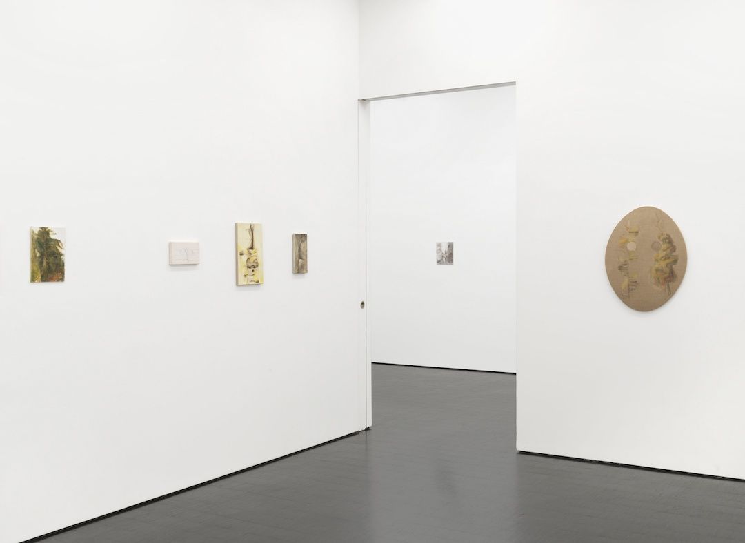 Beaux Mendes, Black Forest at Barbara Weiss, photo 9
