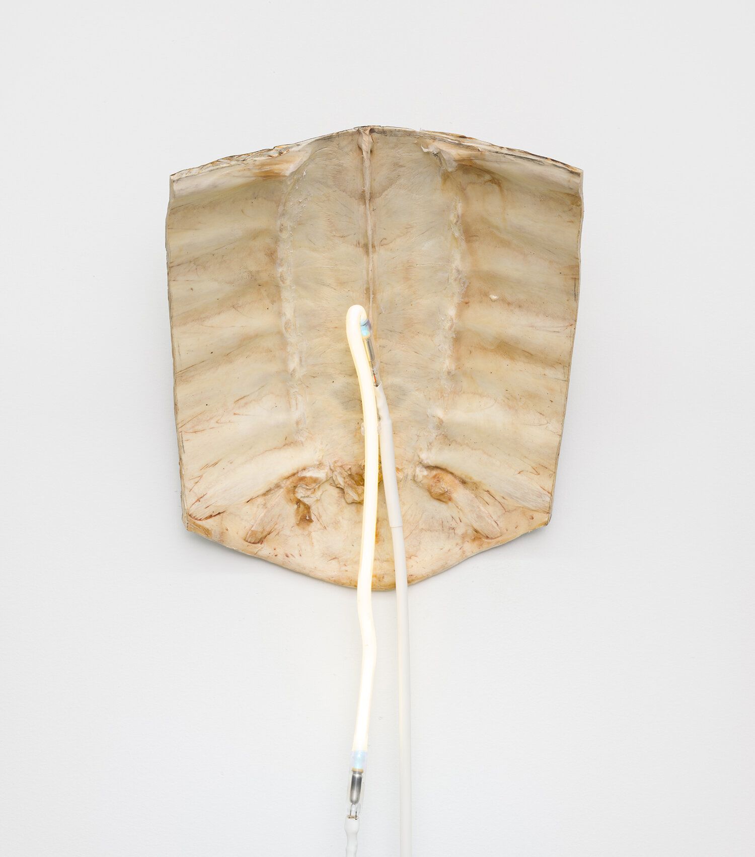 Sean Donovan, Recent Work at M 2 3, photo 7