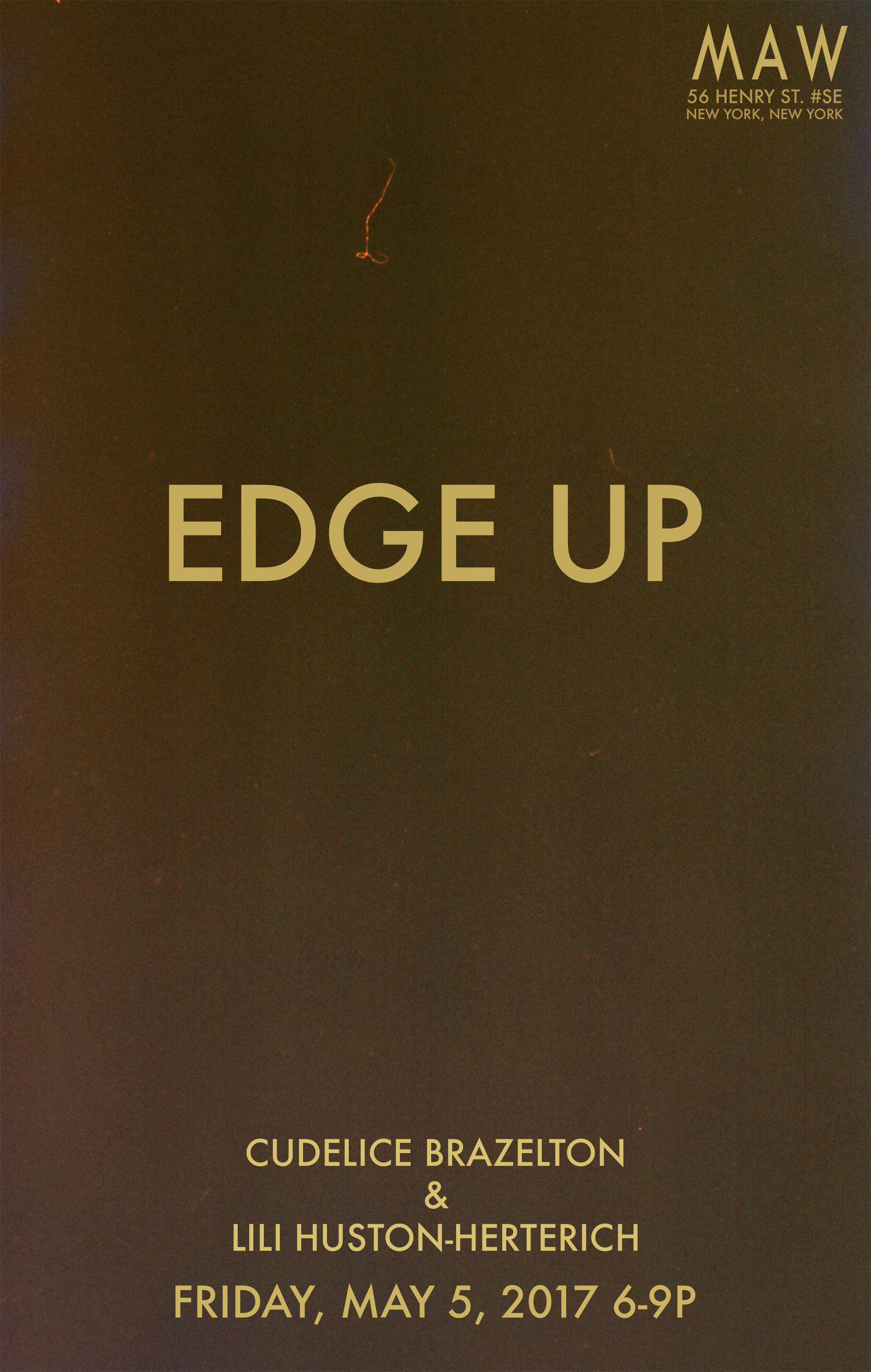 Cudelice Brazelton & Lili Huston-Herterich, Edge Up at MAW, photo 2