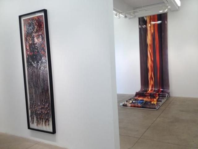 Dinh Q. Lê, Warf, Woof, Zero, One at P.P.O.W, photo 5