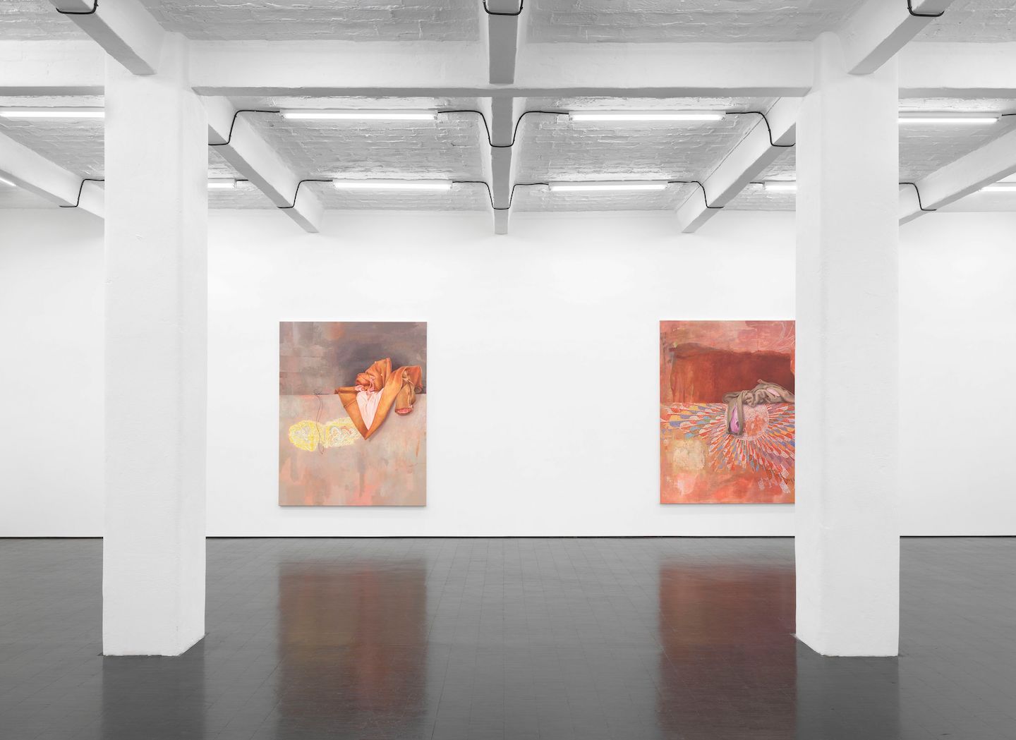 Monika Baer, The Inside Out at Barbara Weiss, photo 9