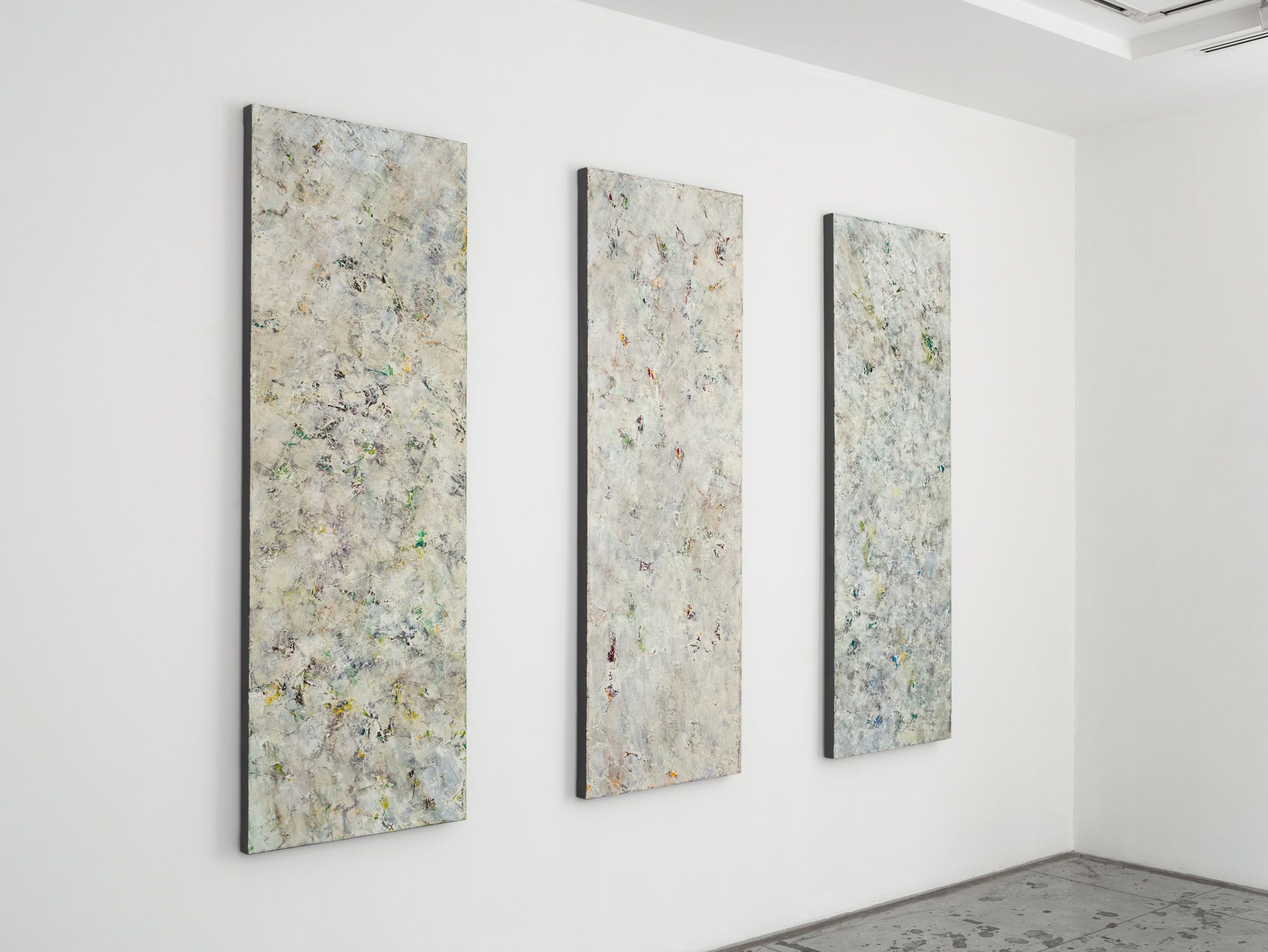 Susan Swartz, Susan Swartz at Jason McCoy Gallery, photo 5