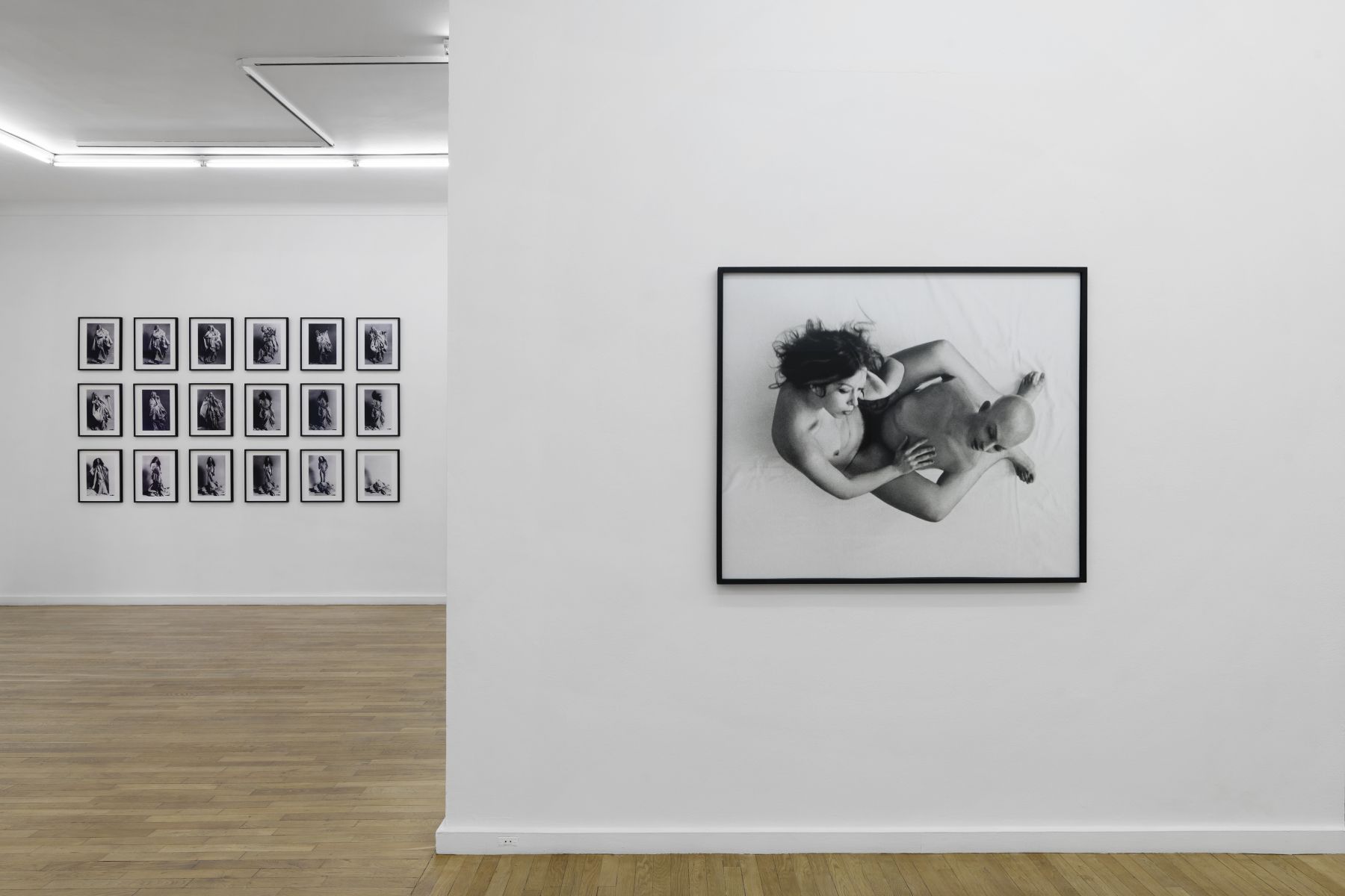 Orlan, Historical Striptease at Ceysson & Bénétière, photo 5