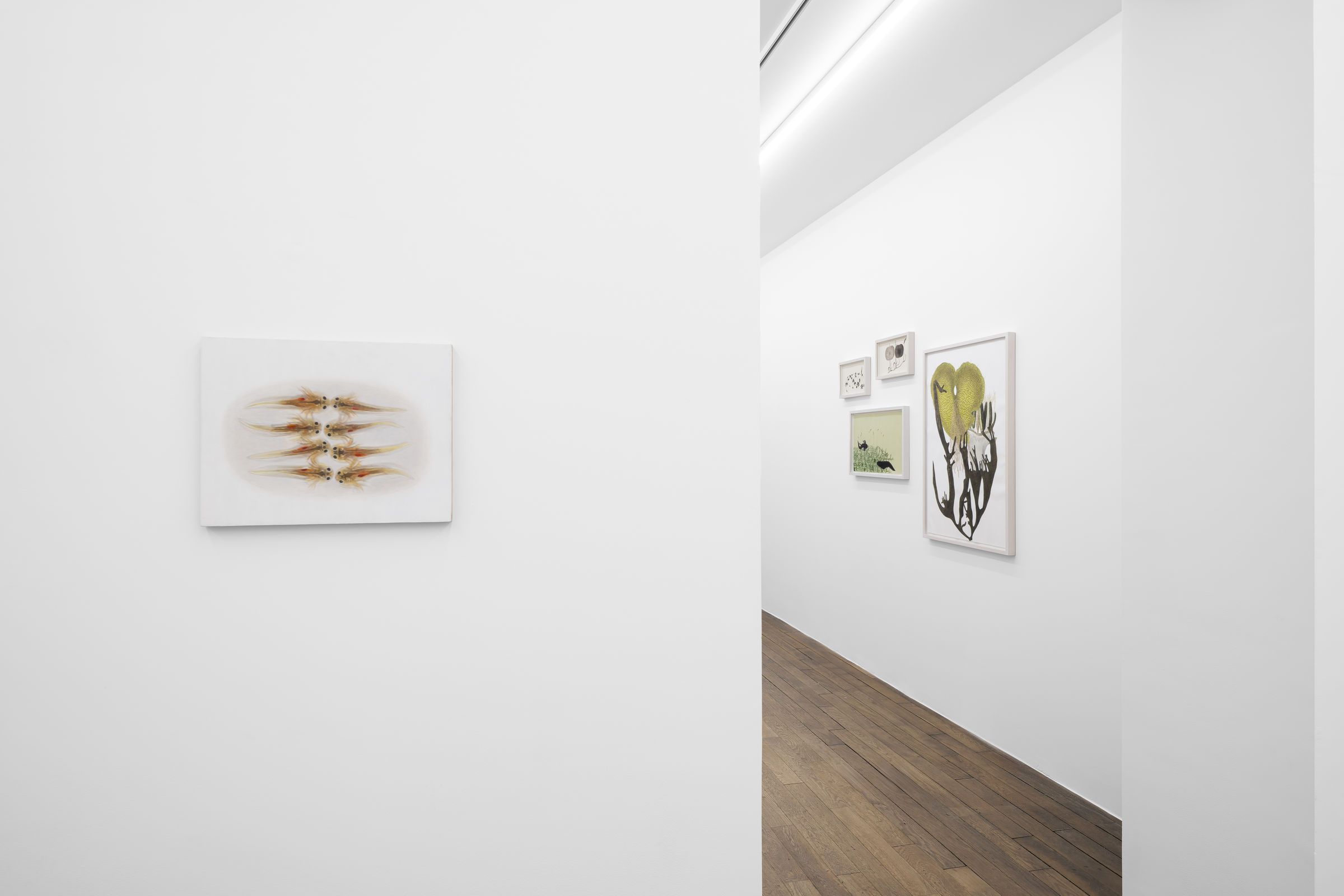 Melanie Smith, An Age of Liberty When the World Had Been Possible at Peter Kilchmann, photo 6