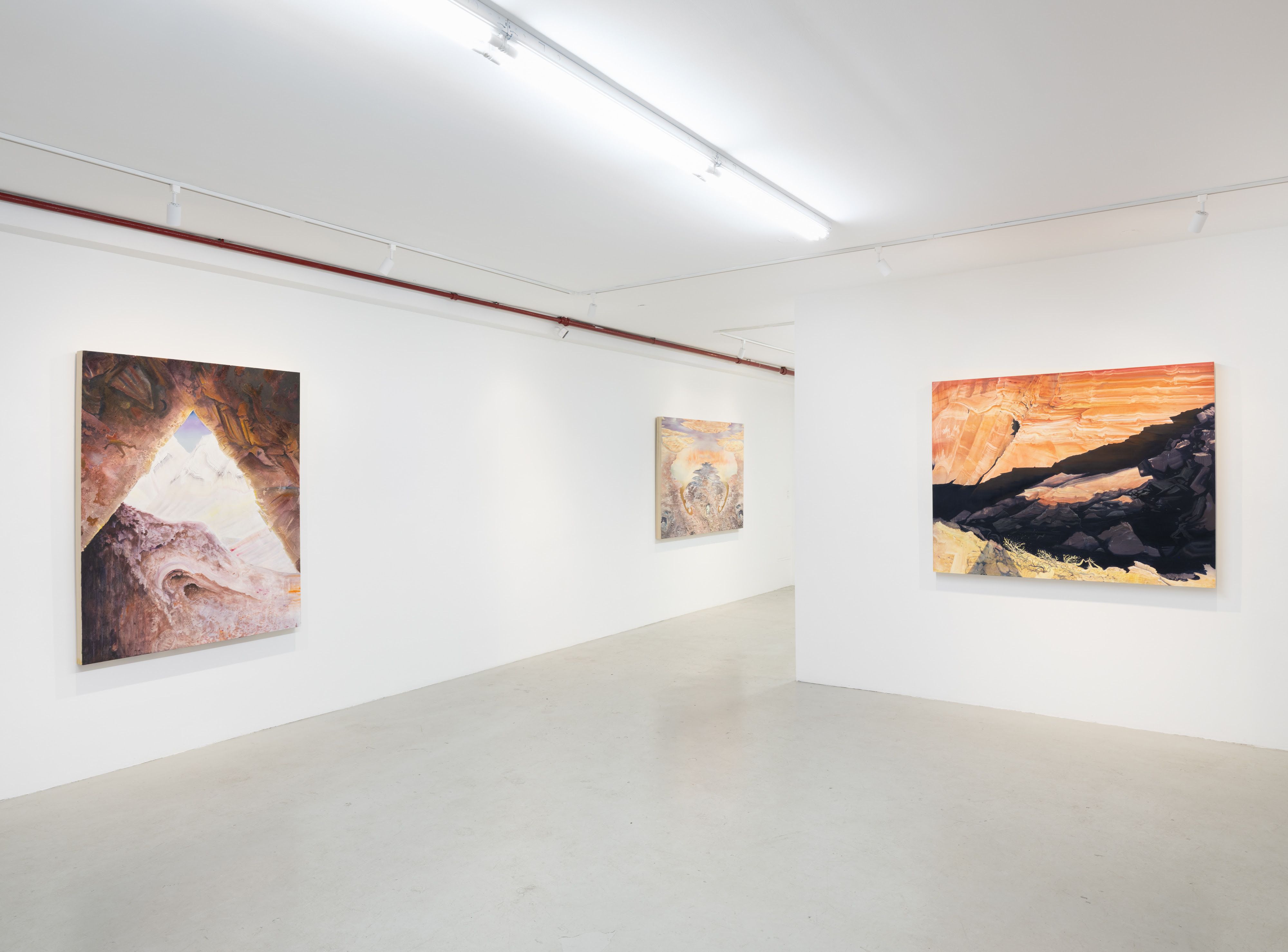 Eleanor Mahin Thorp, Bend of the Southern Cross at Plato, photo 3