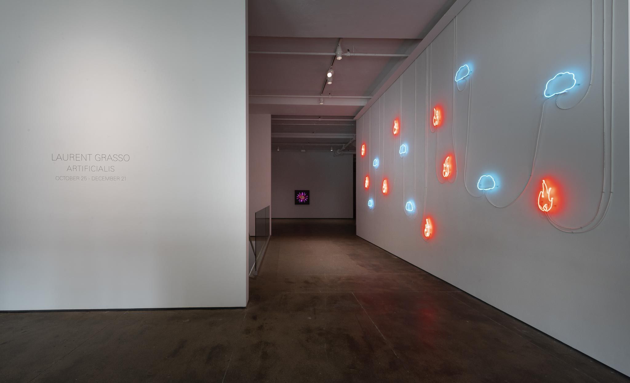 Installation view 11
