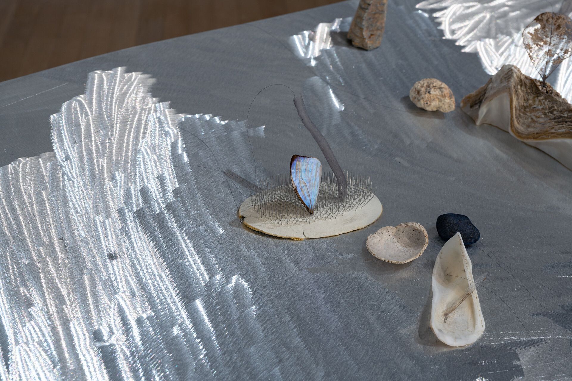 Hu Xiaoyuan, Veering at Tai Kwun Contemporary, photo 4