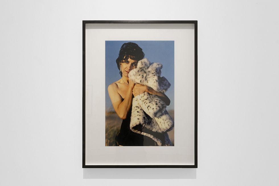 Mariette Pathy Allen, Transformations at ClampArt, photo 3