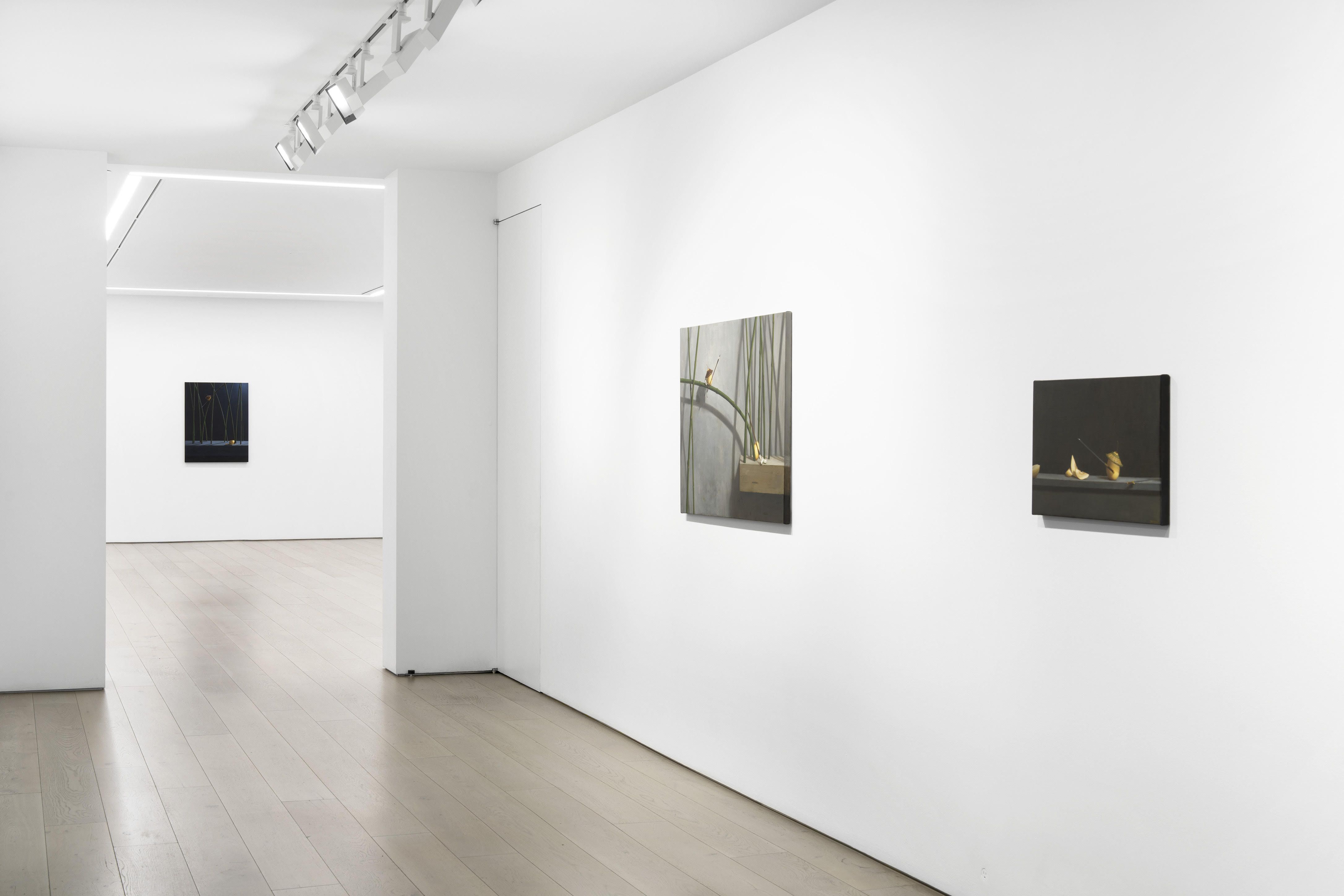 Chang Ya Chin, Finding Ewha at Perrotin, photo 5