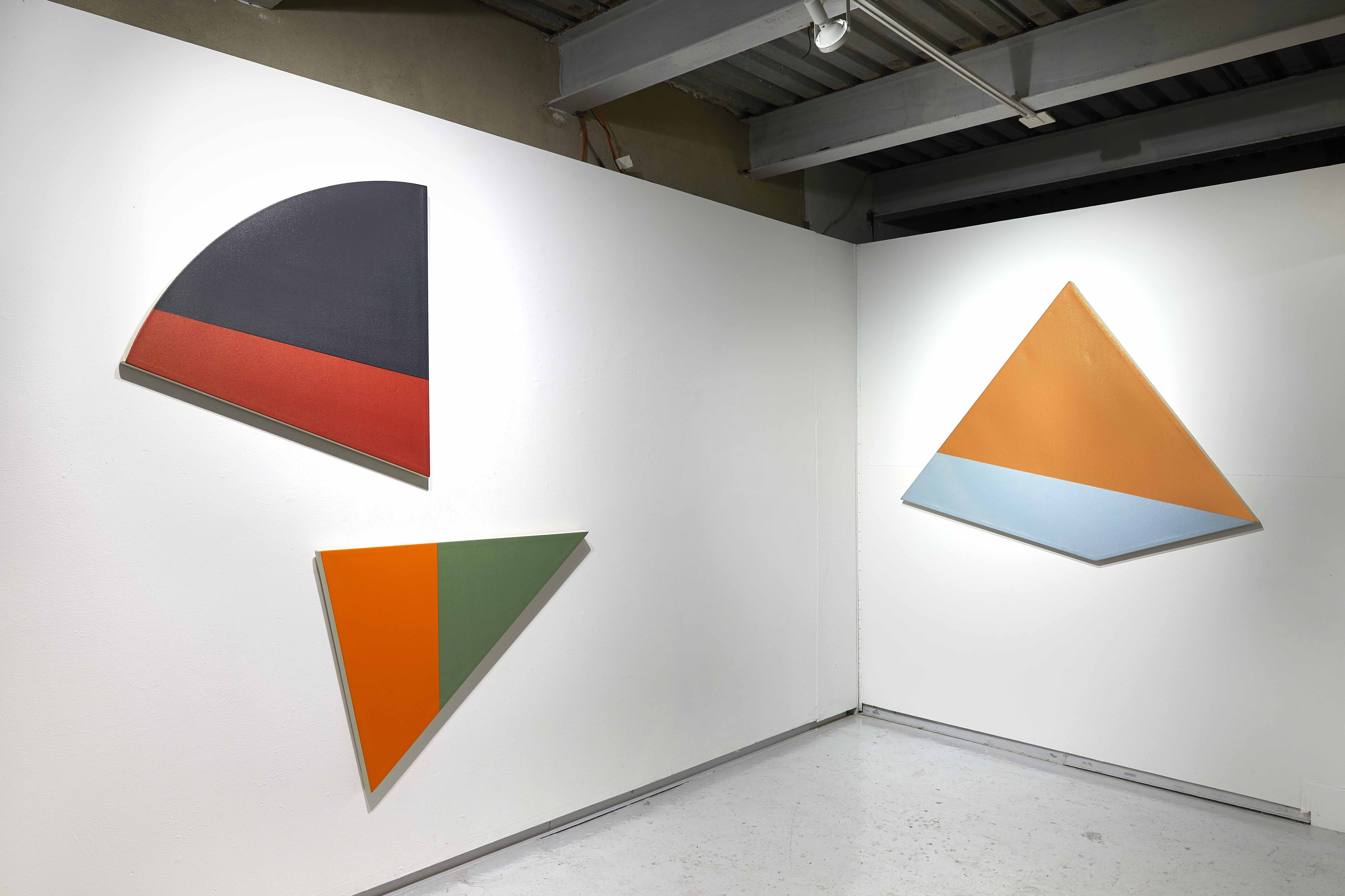 Leo Valledor, Color As Space at WhiteBox, photo 4