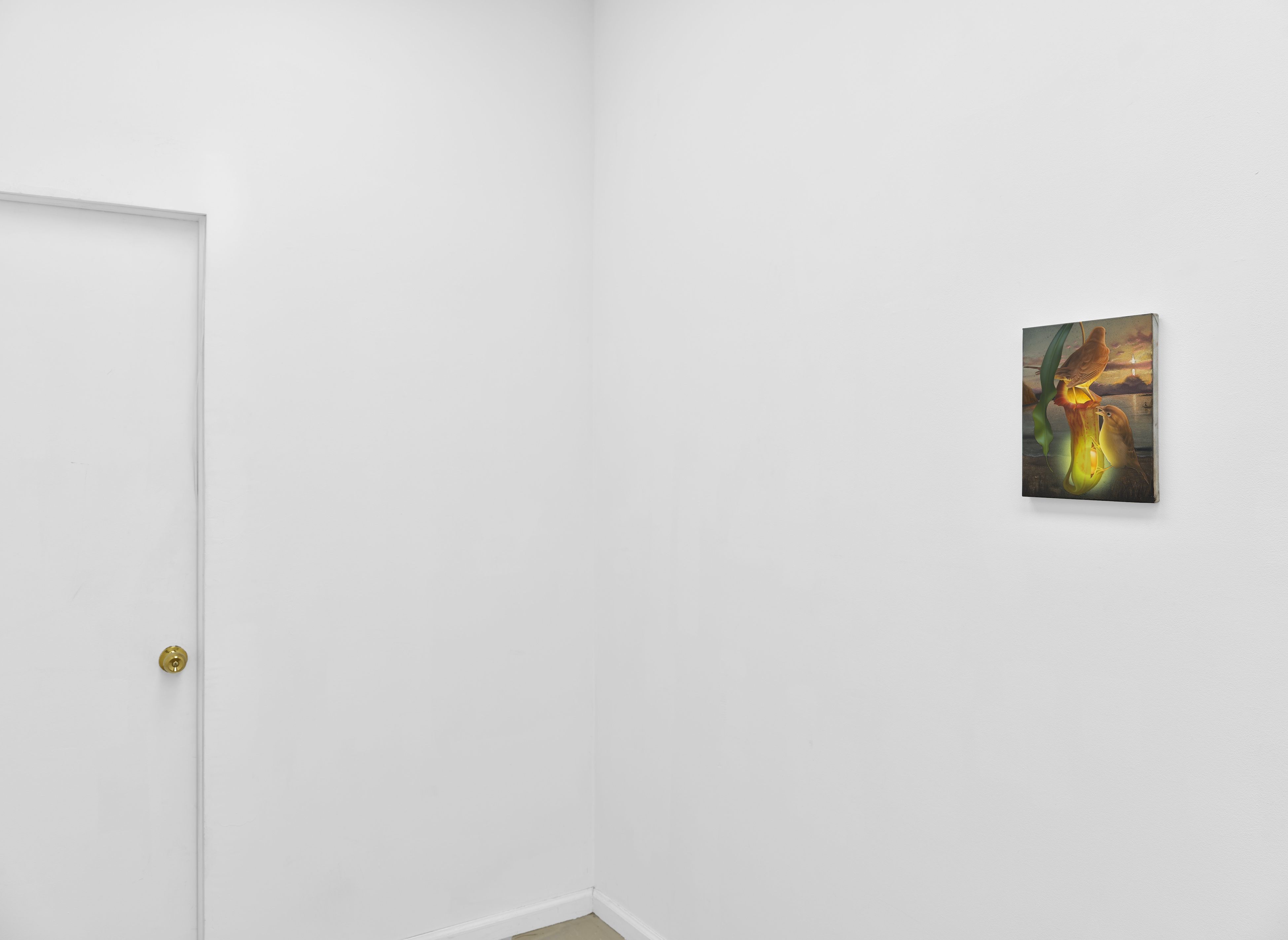 Maciej Kość, Bliss Point at Long Story Short, photo 13