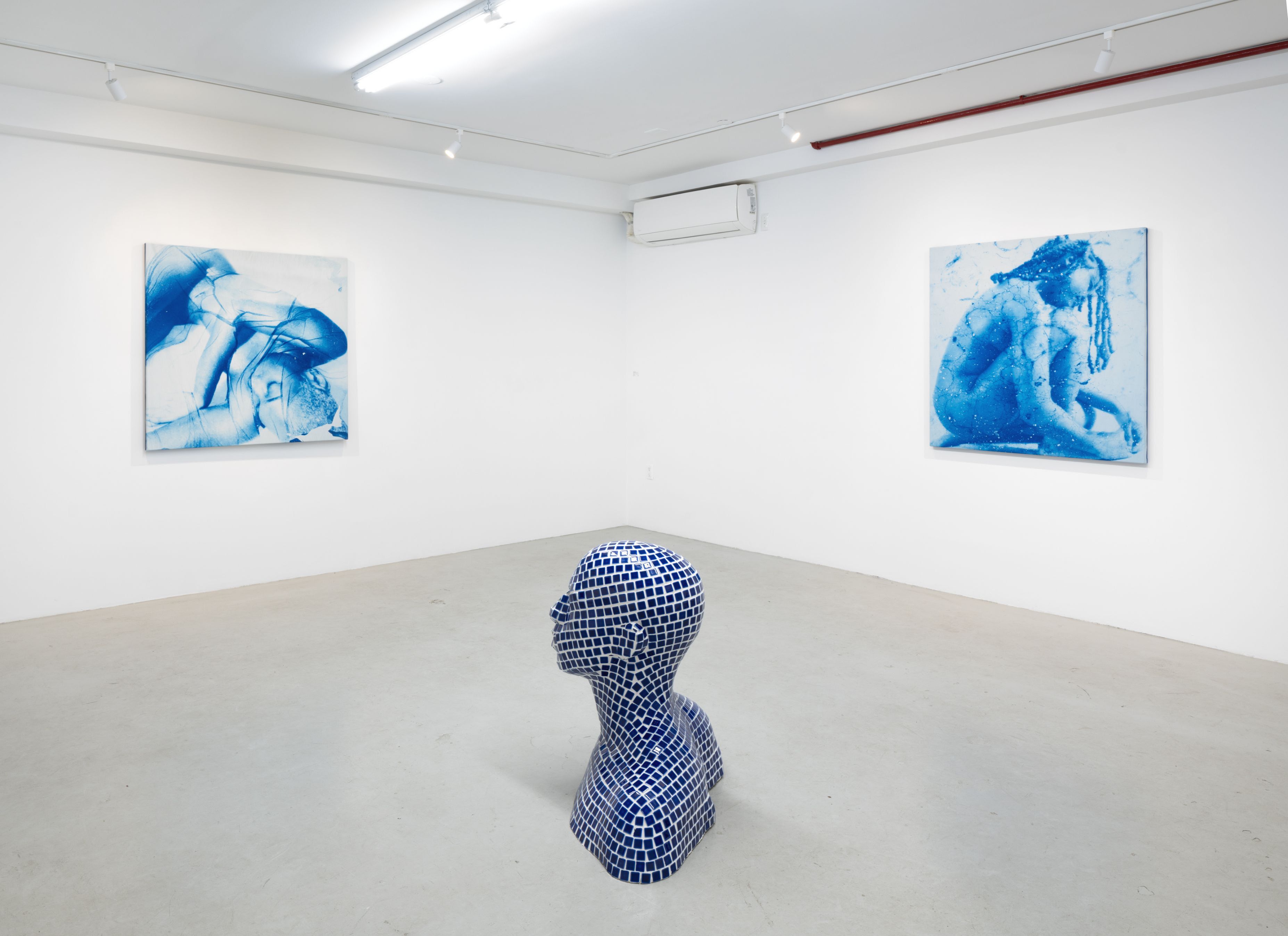 Diana Sinclair, Threaded Blue at Plato, photo 3