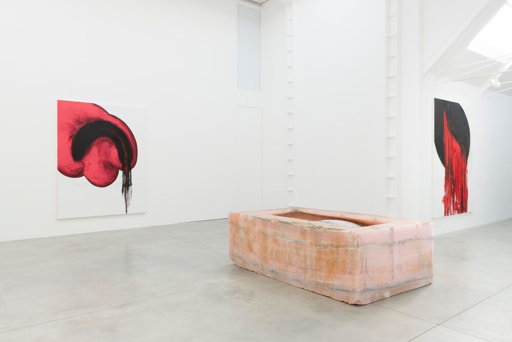 Anish Kapoor, Anish Kapoor at Lisson, photo 2