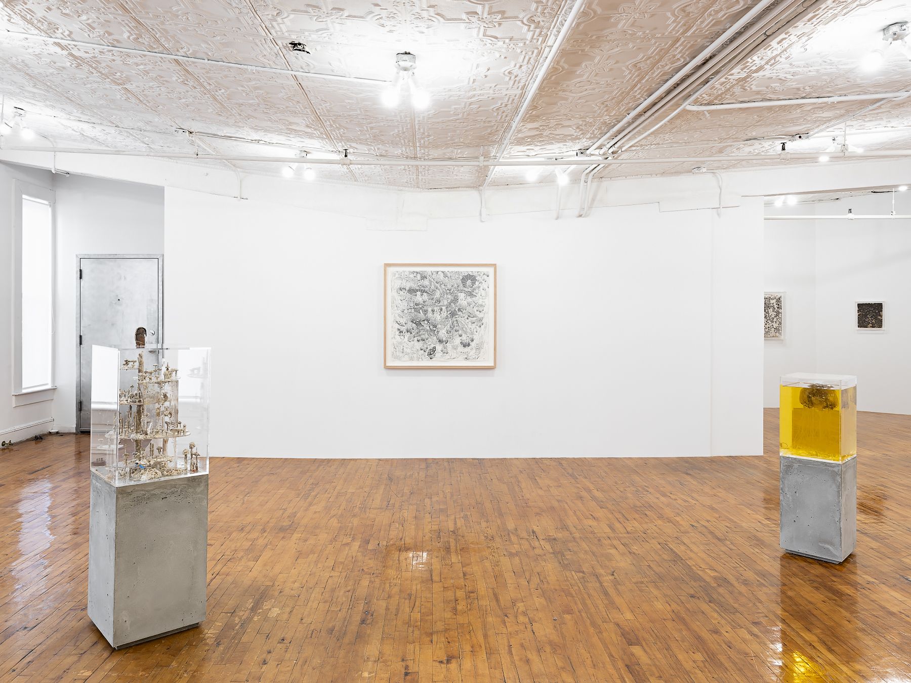 Installation view 5