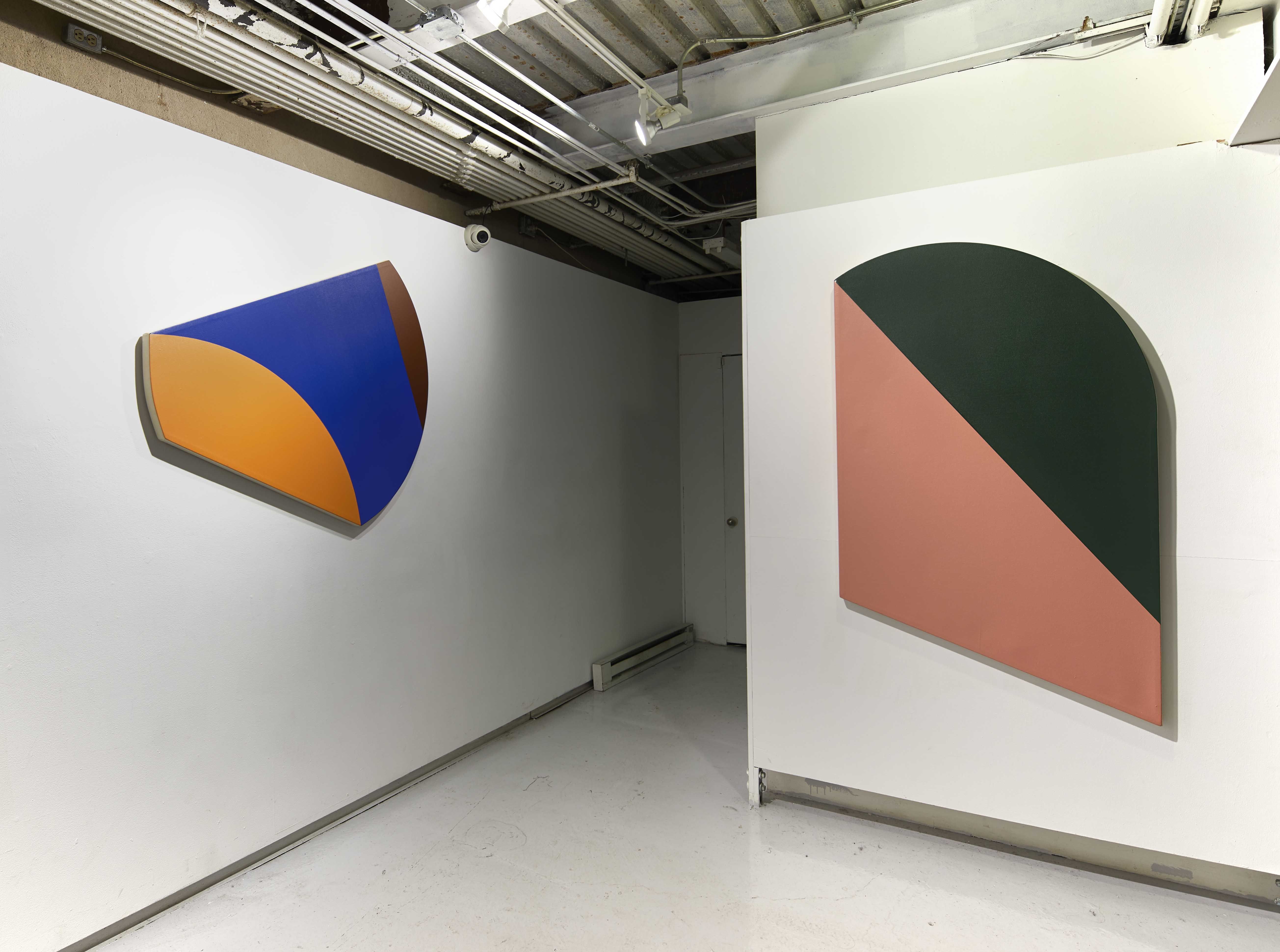 Leo Valledor, Color As Space at WhiteBox, photo 6