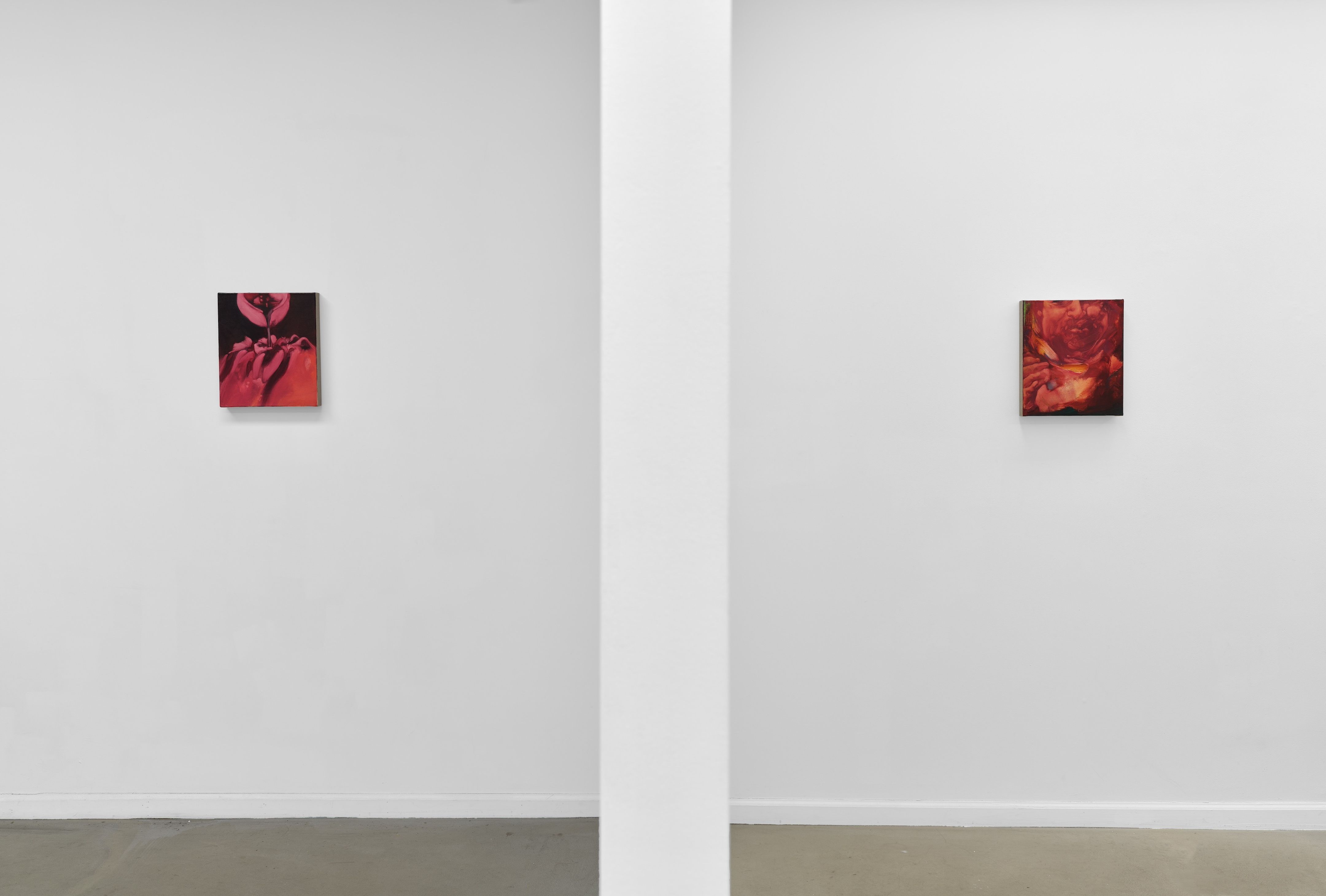 Lily Macrae, Virtues & Vices at Long Story Short, photo 4