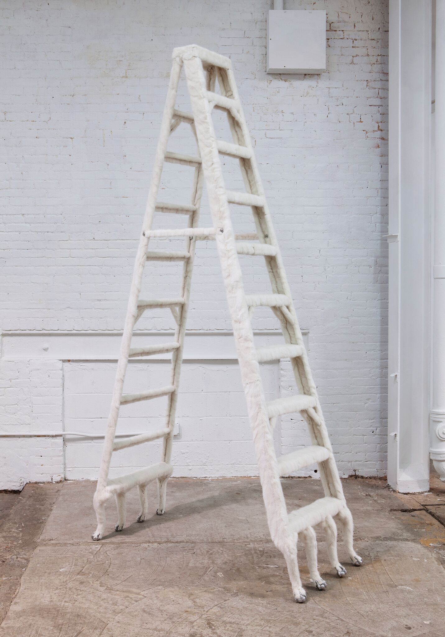Carol Peligian, Of Body at False Flag, photo 7