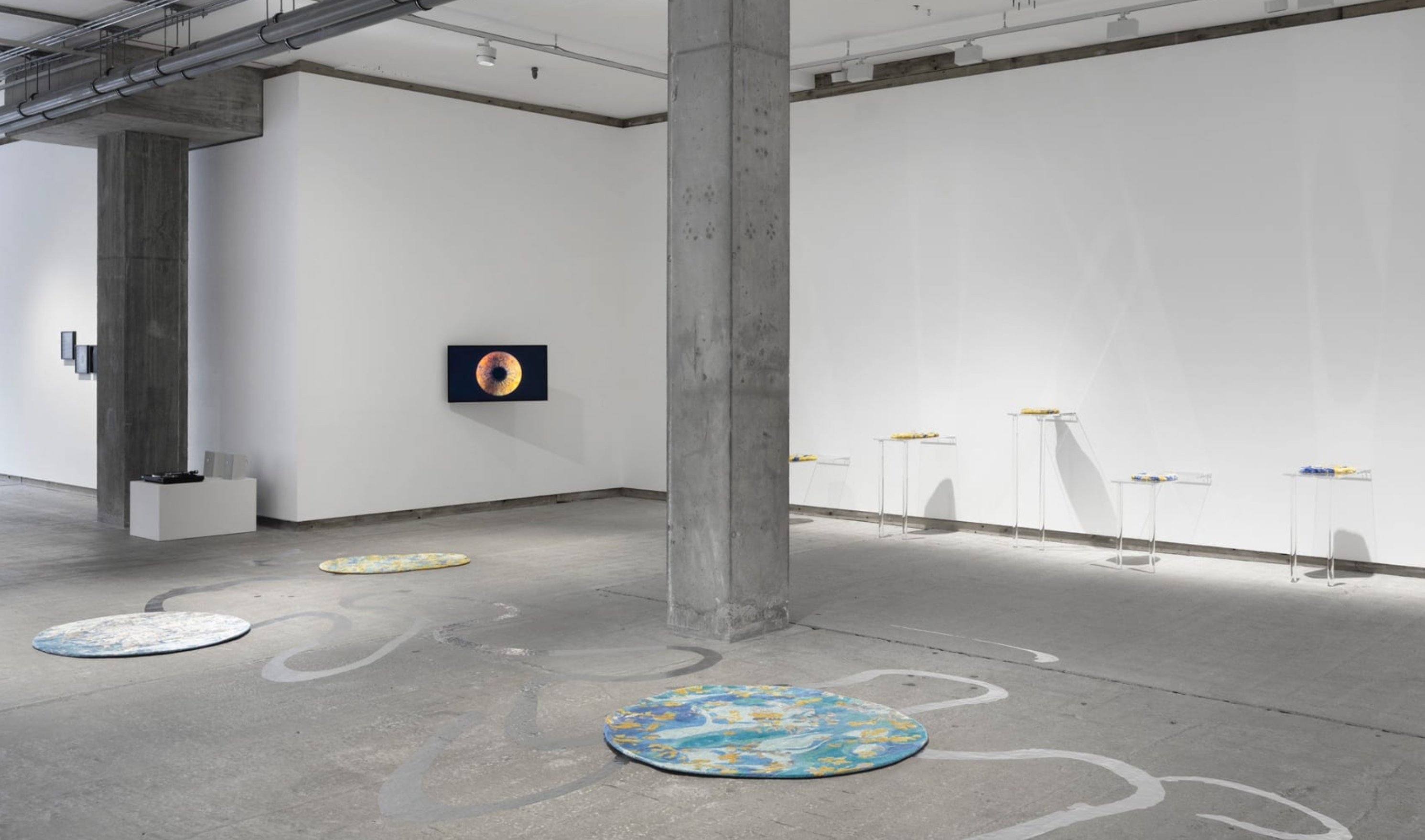 Raqs Media Collective, Come Undone at Frith Street Gallery, photo 2