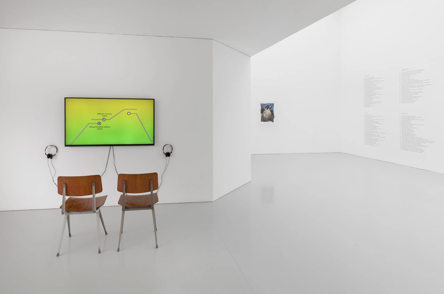 Marcus Coates, Between Stories at Kate MacGarry, photo 3