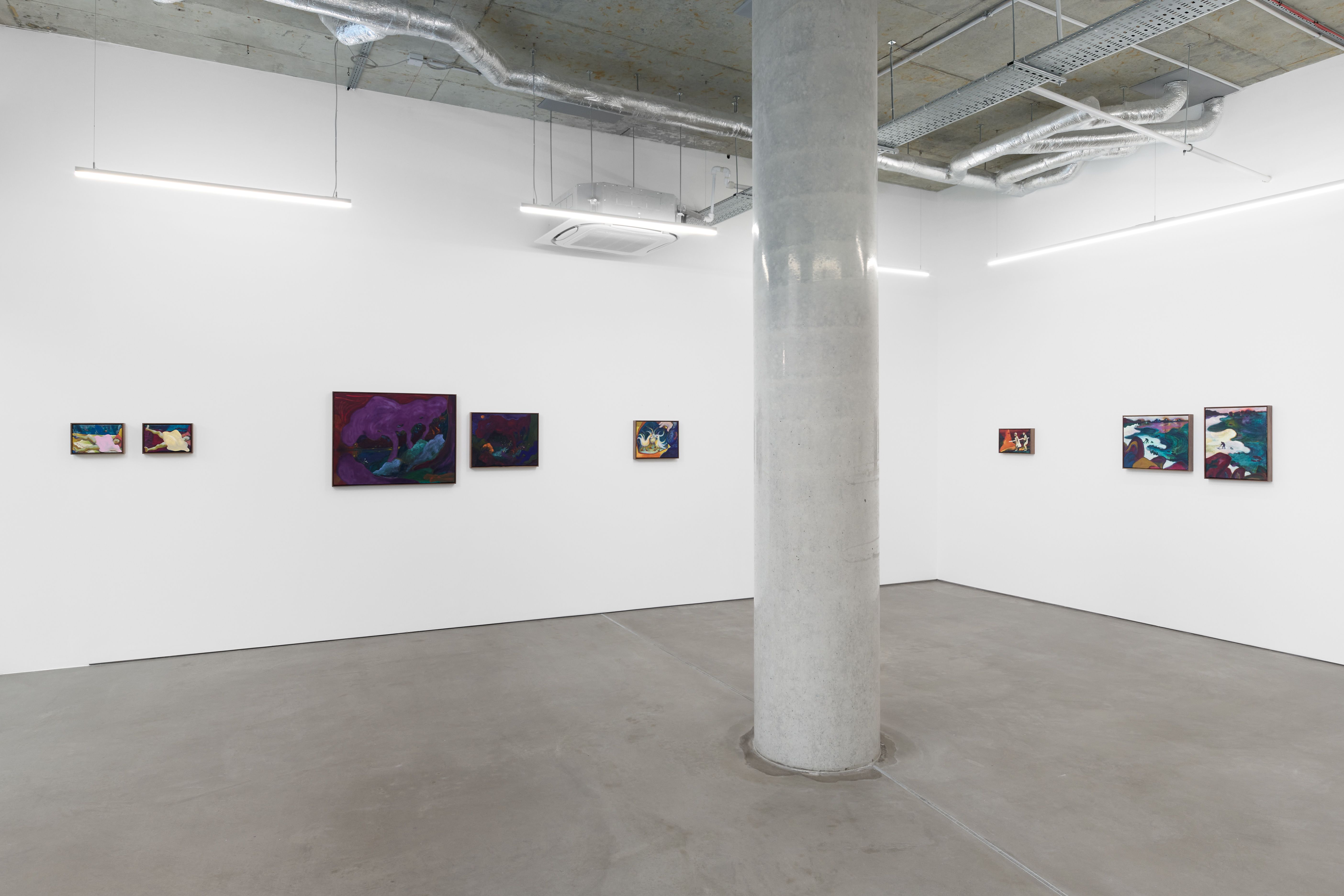 Anna Jung Seo, O Love, How Did You Get Here? at Project Native Informant, photo 7